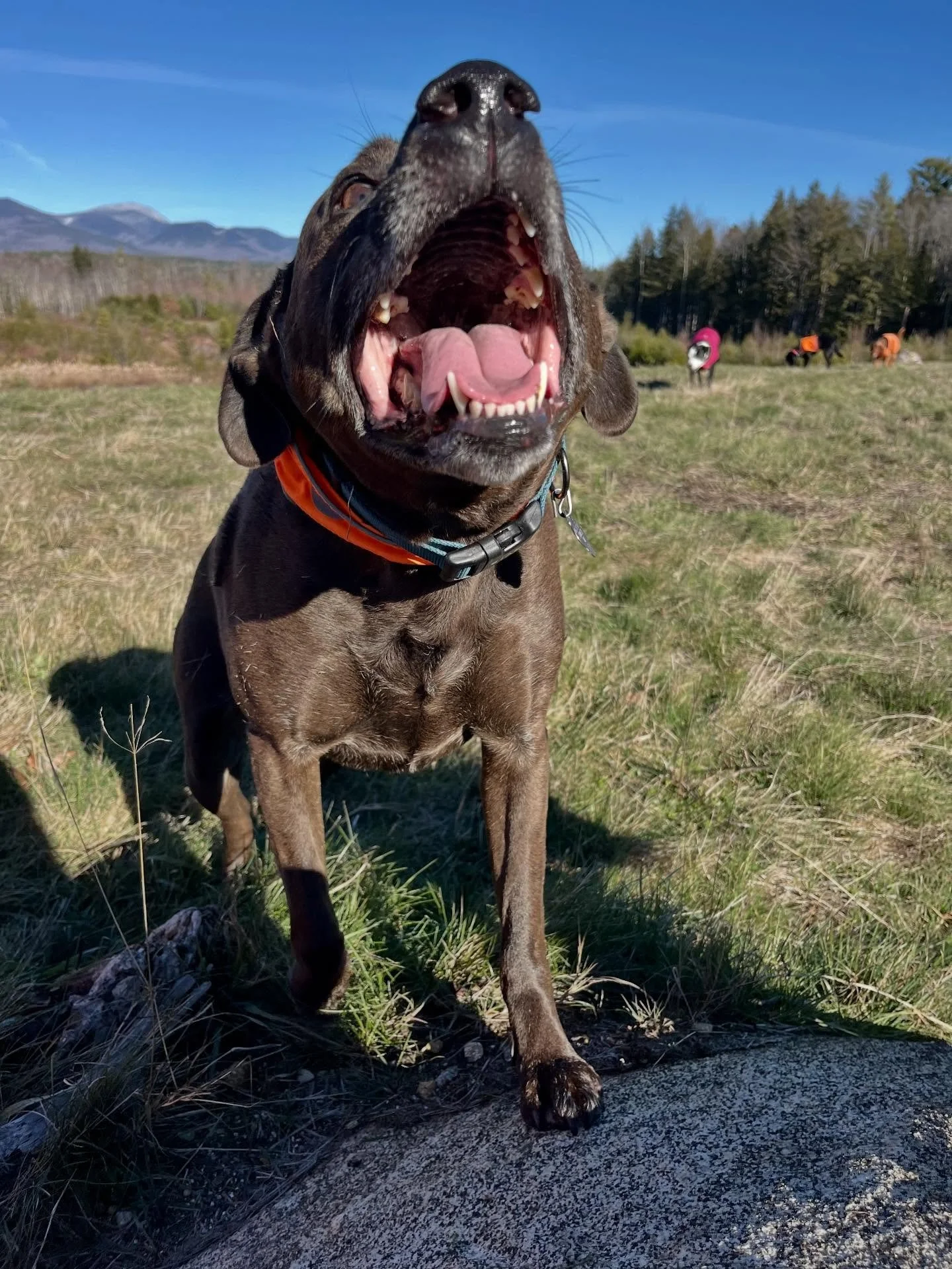 Smiles all around today 😊