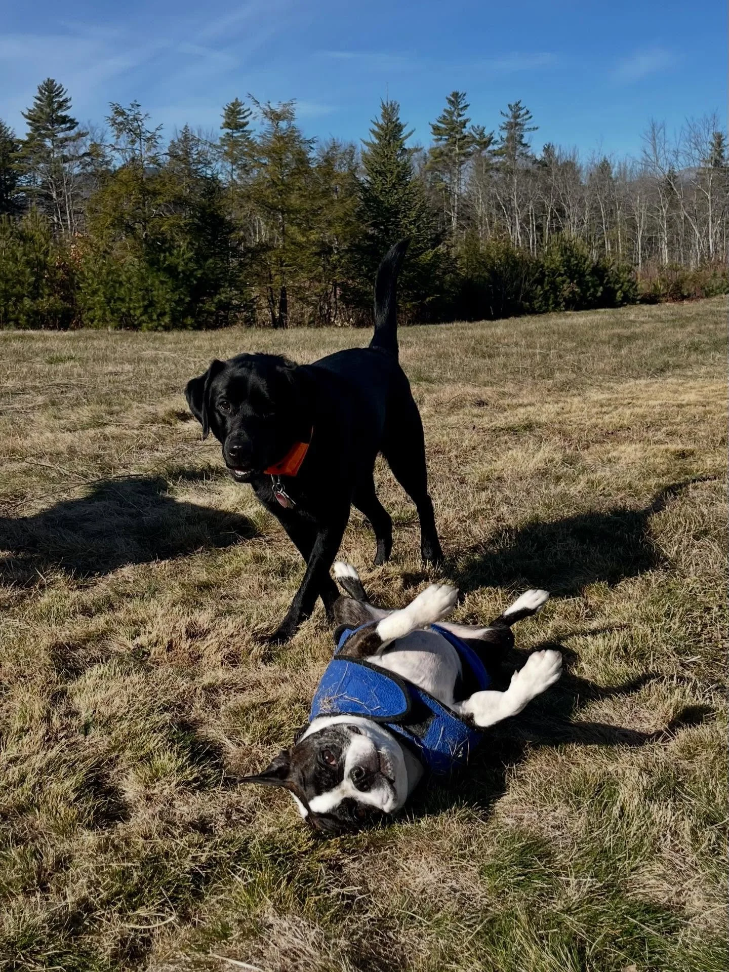 Thursday fun in the sun ☀️