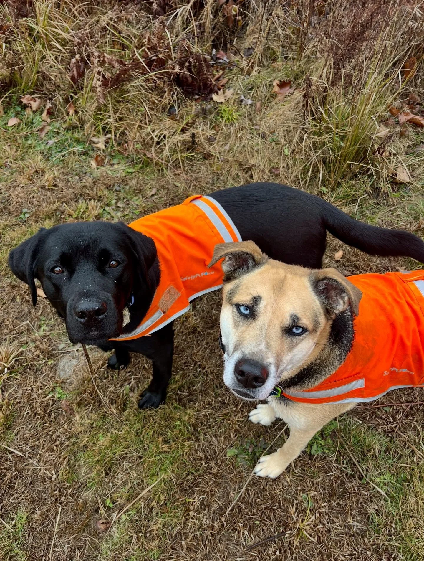 Happy Thanksgiving from Wednesday crew 😊