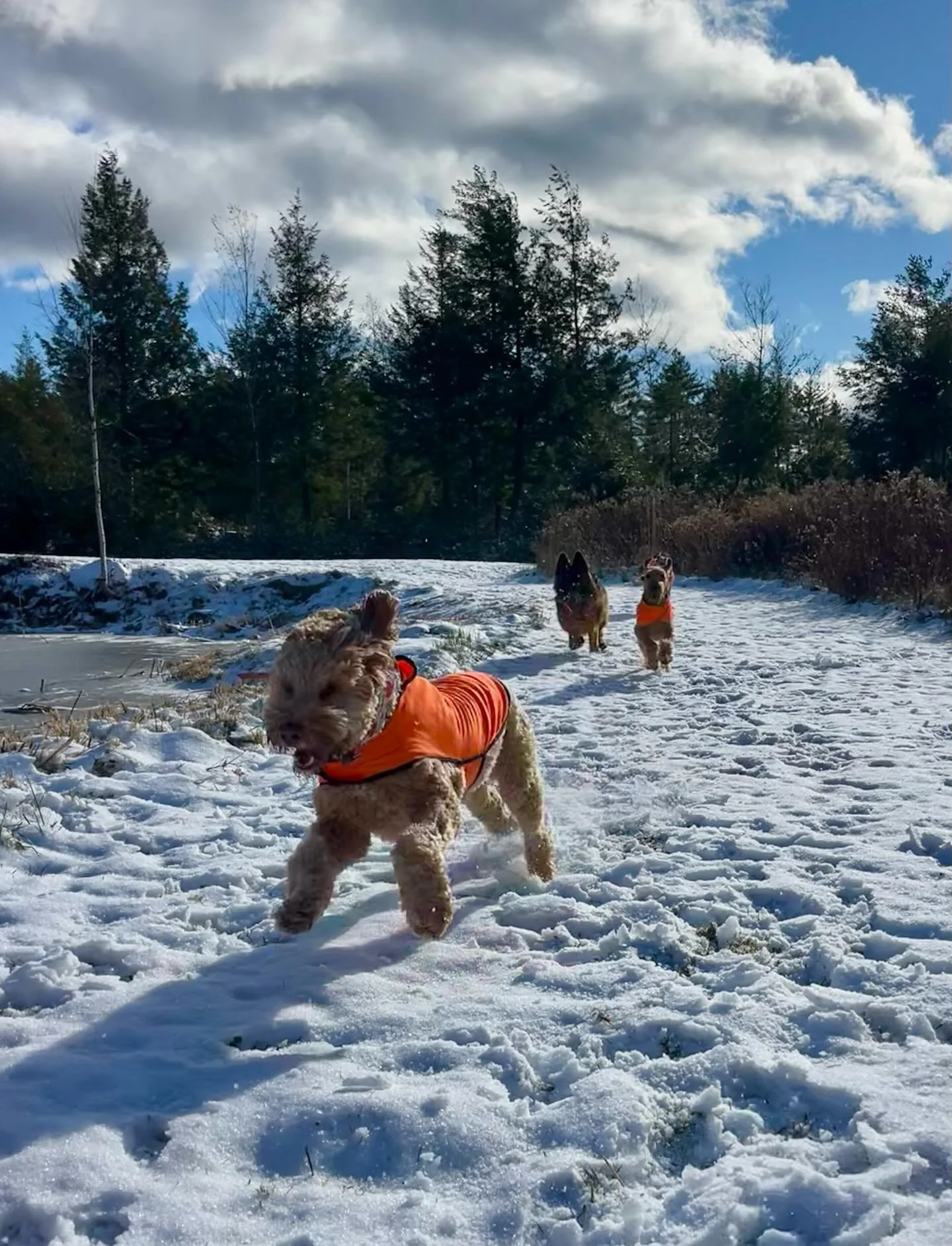 We love a snow day!! ❄️❄️❄️