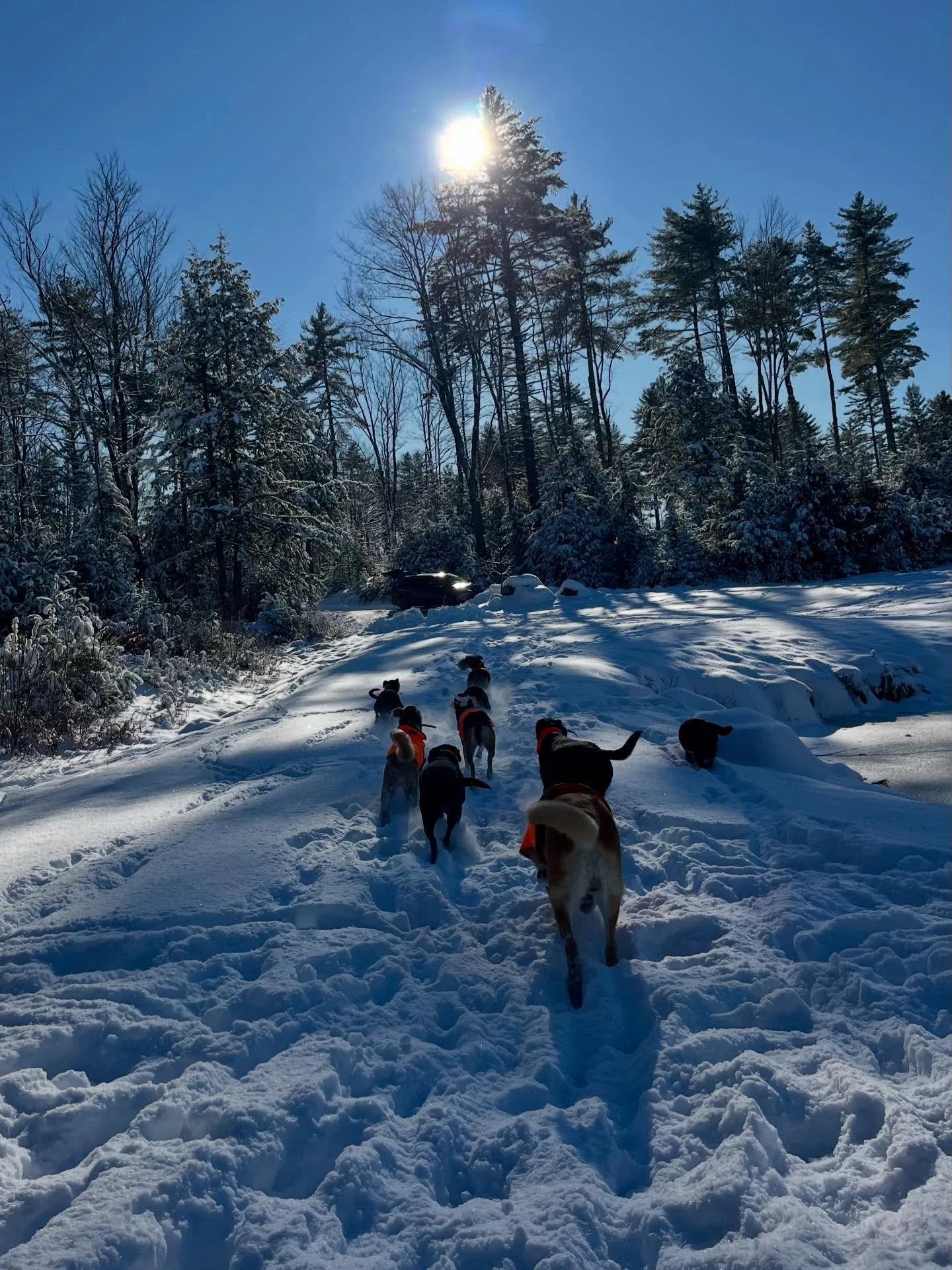 Now THAT&rsquo;S a snow day!