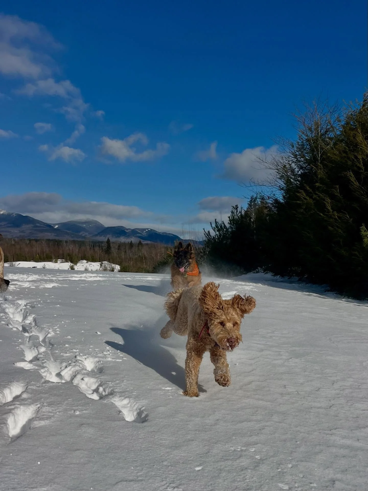 Another collllld one today 🥶