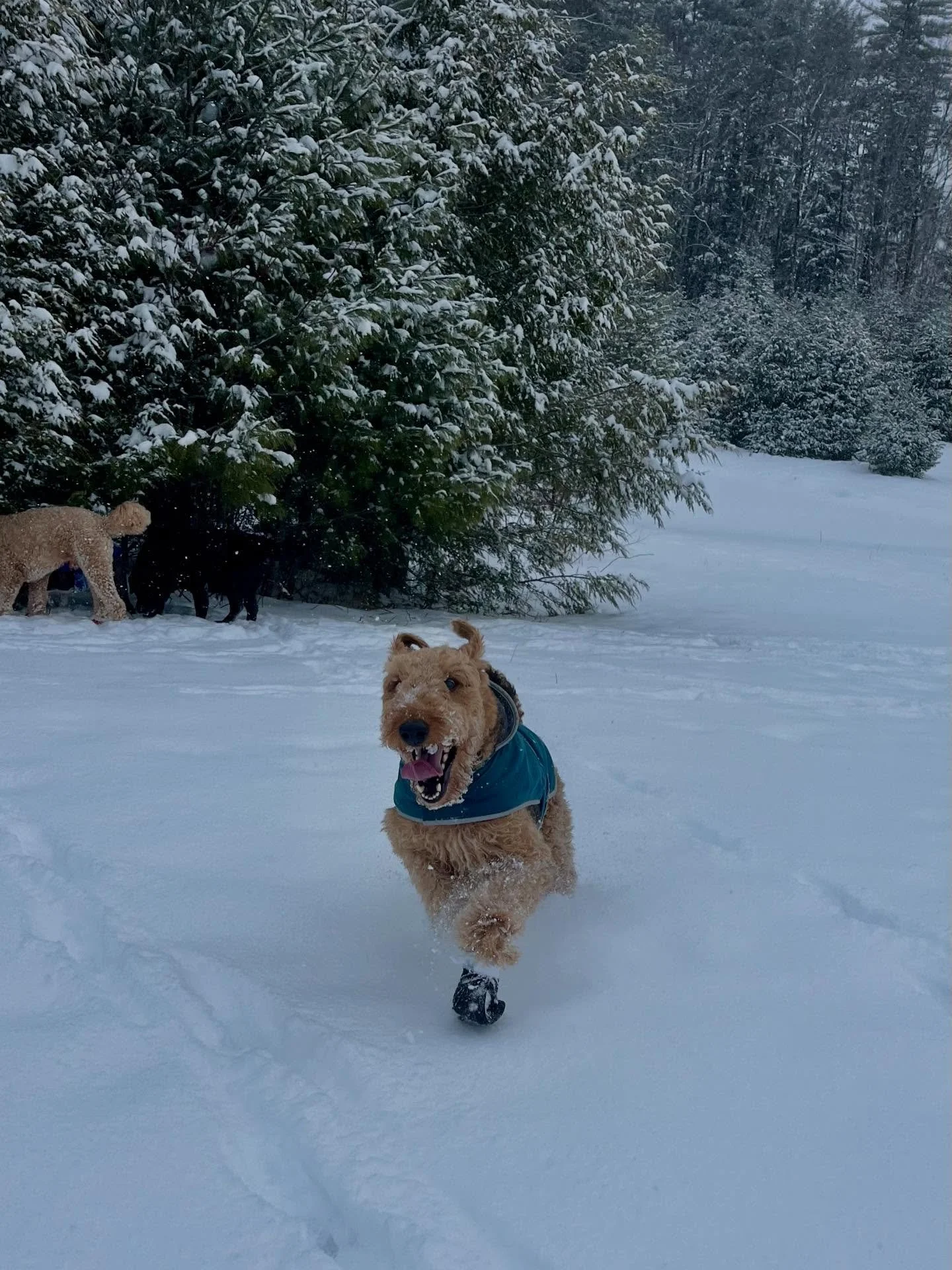Excitement was HIGH today and I needed a nap after camp 🥱