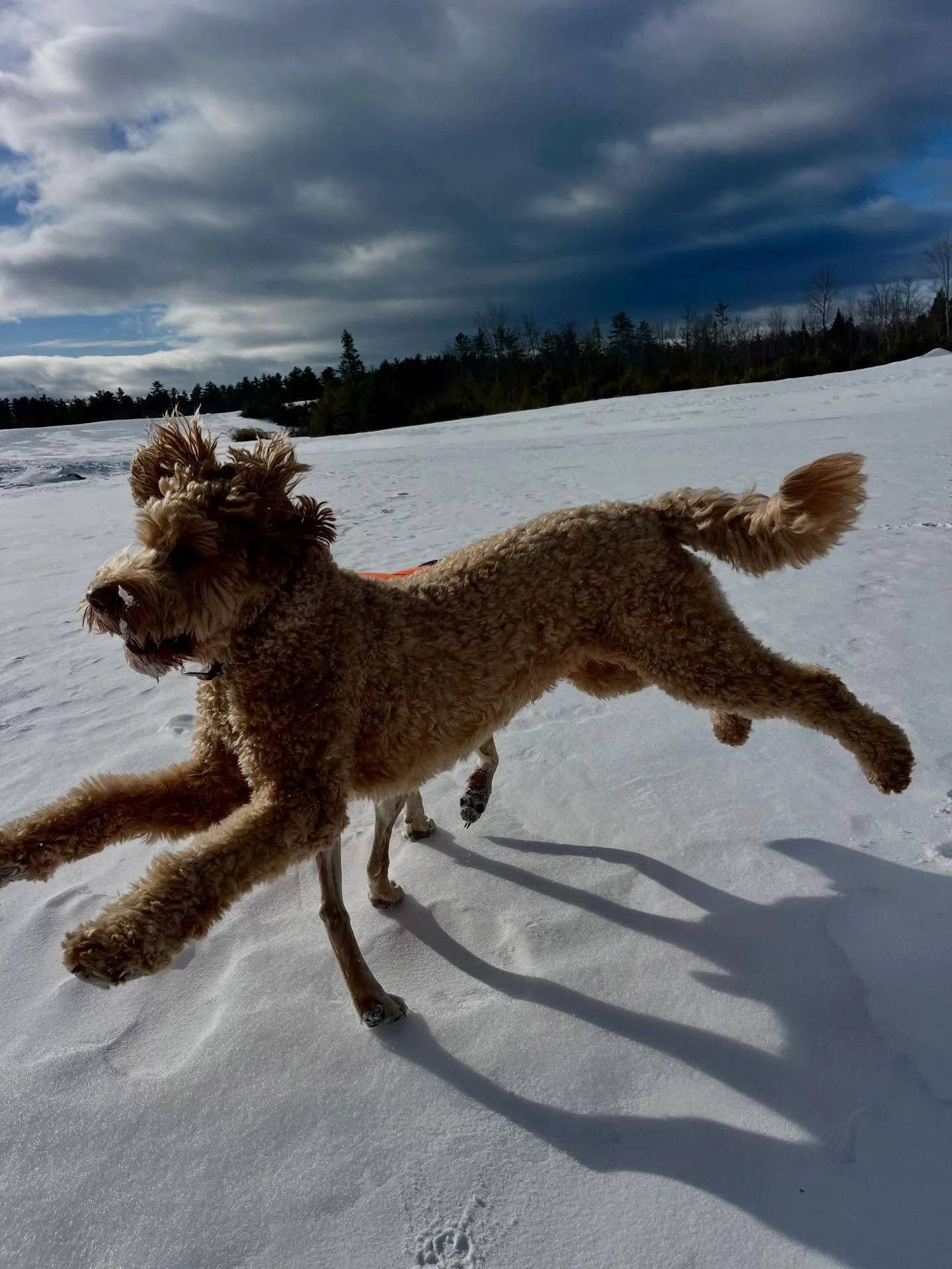 Leaping into a new week 😀