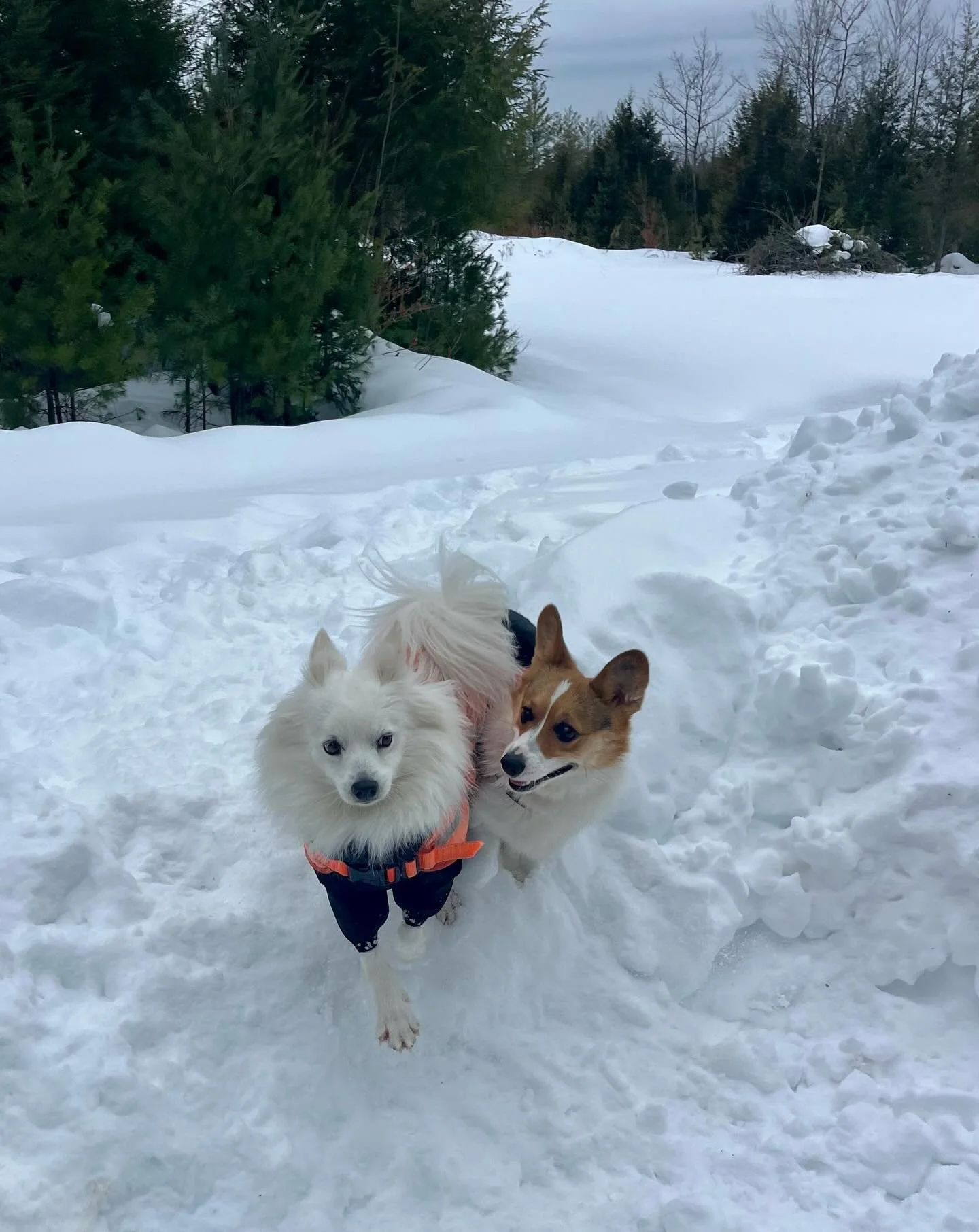 A fun day with the Monday buddies ☺️