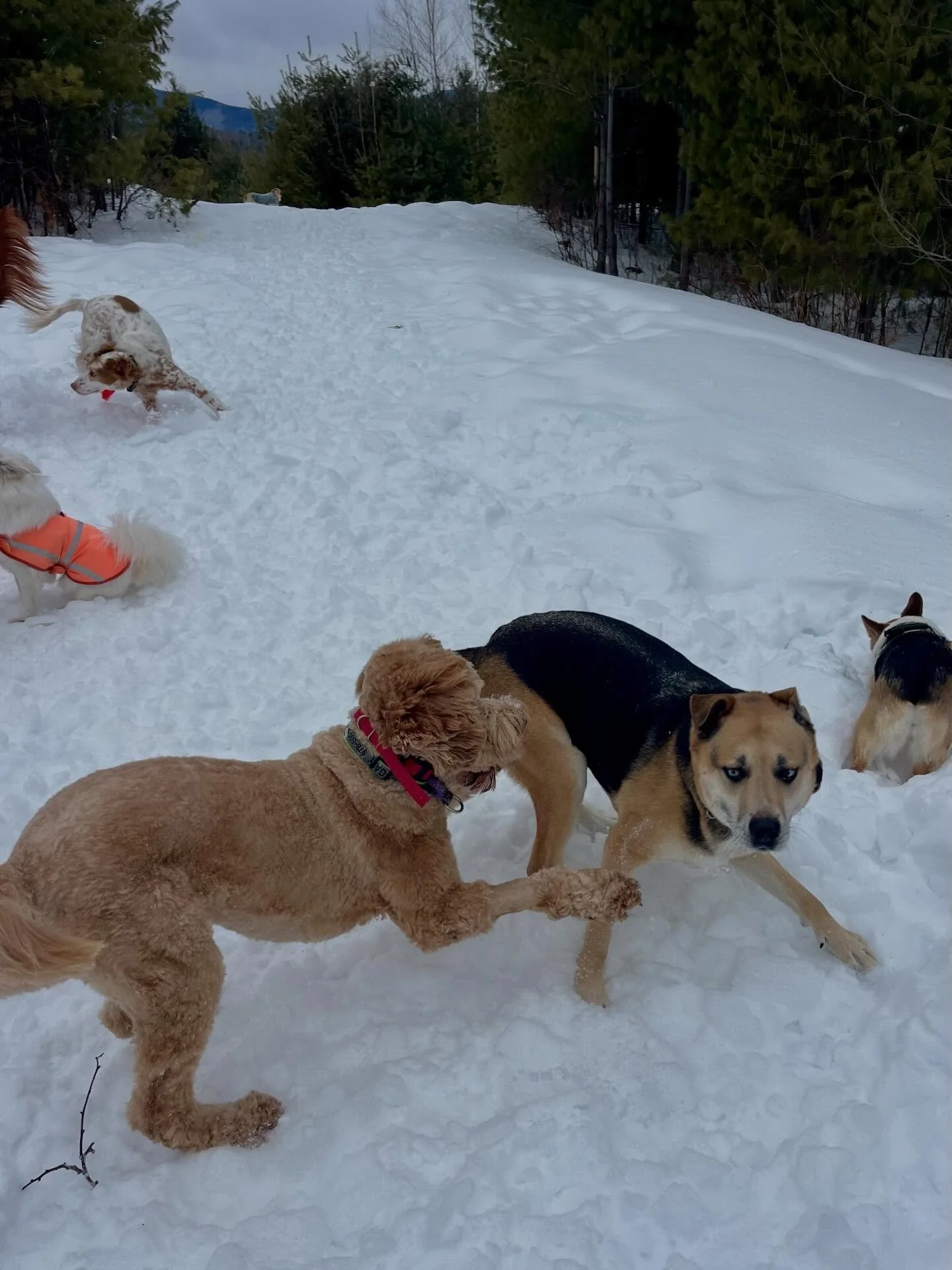 So much for that snowstorm today&hellip;