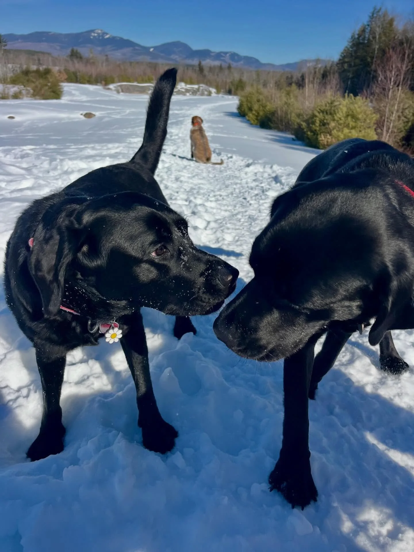 Last Thursday&hellip;can you tell who&rsquo;s who?