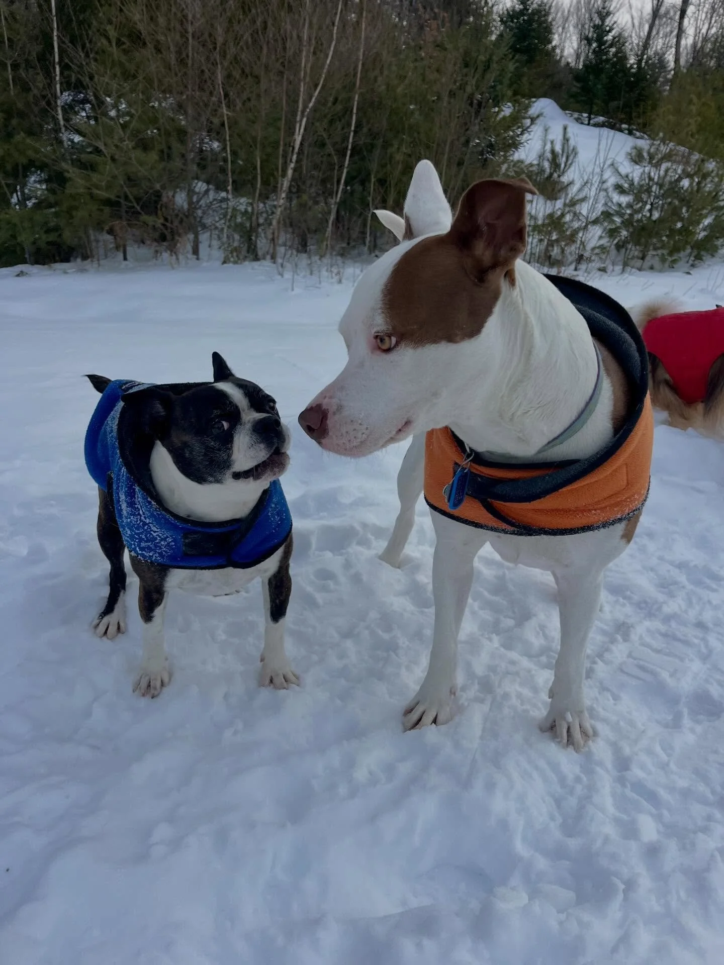 Wild times today 😄