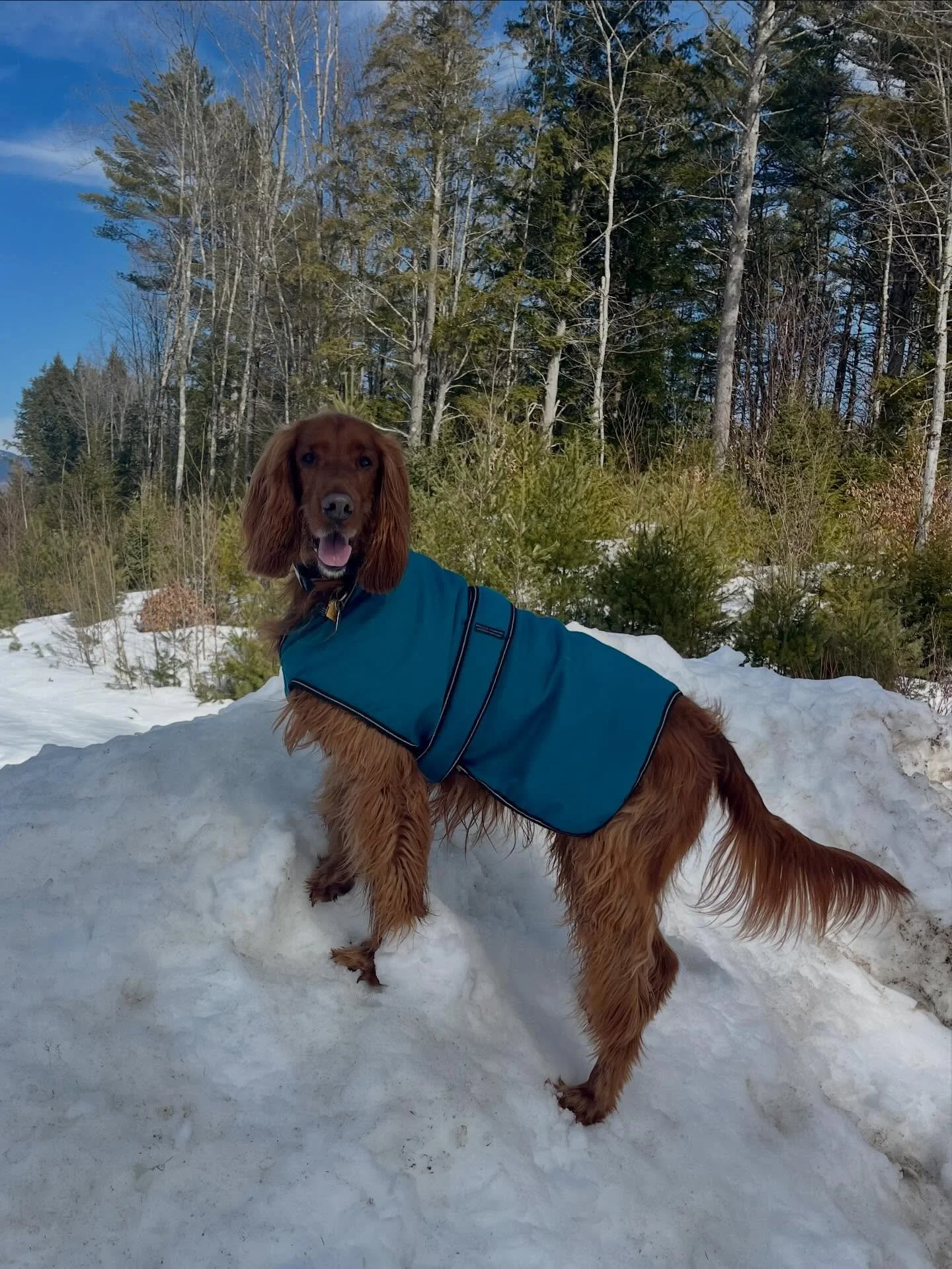 We had a tiny little group today but plenty of fun!