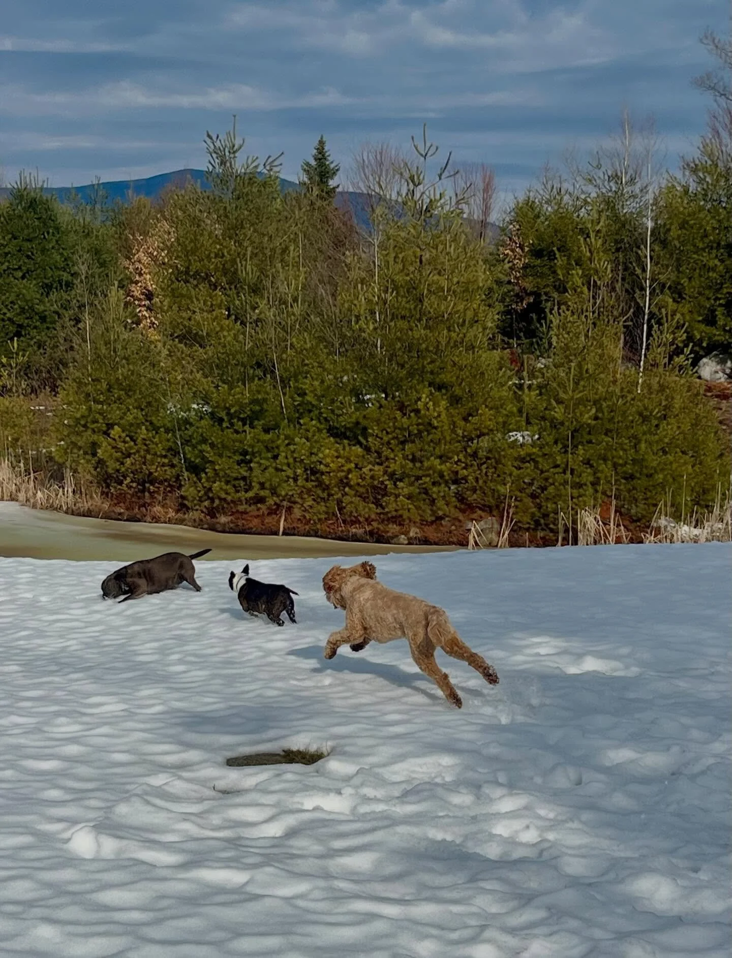 Yesterday it was 70&hellip;today it was 40 and we had some pouring rain and some bright sun. Really keeping us guessing 🤷🏼&zwj;♀️