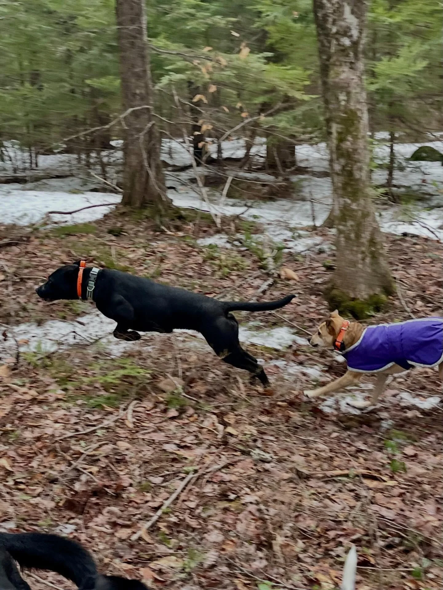 Happy windy Thursday!