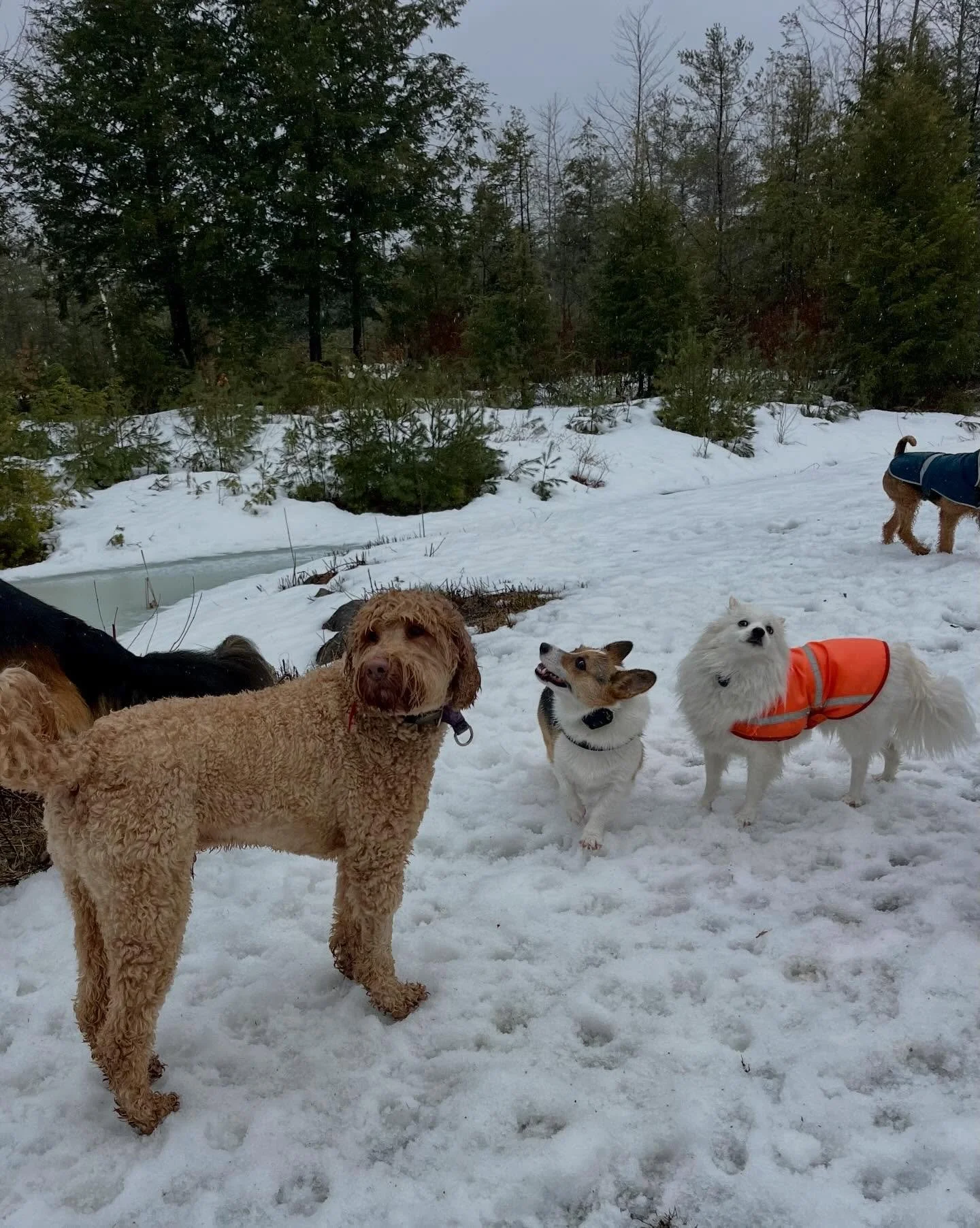 Didn&rsquo;t get many pictures today through the deluge 🌧️🥶