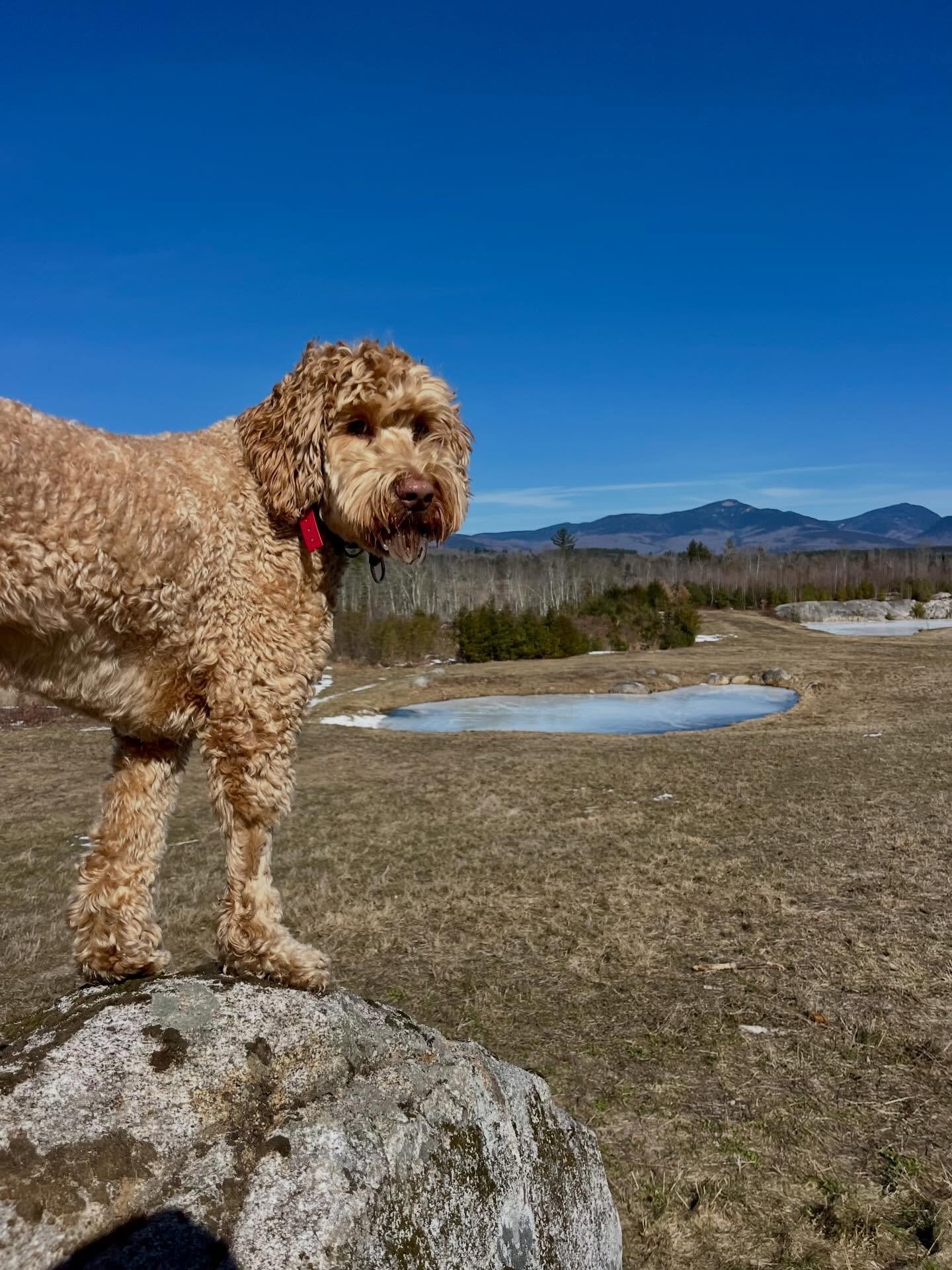 Wild Wednesday was kinda chill today&hellip;maybe the drop in temps settled the energy