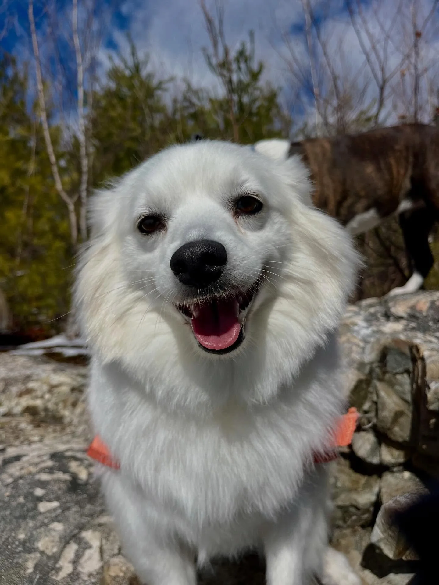 All smiles on wild Wednesday 🙂🙂🙂