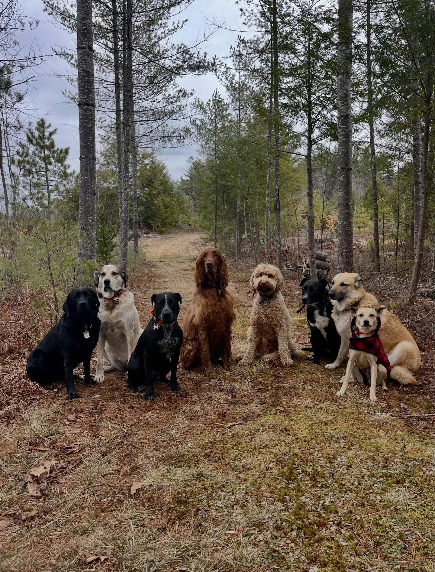 Today&rsquo;s shenanigans ☺️