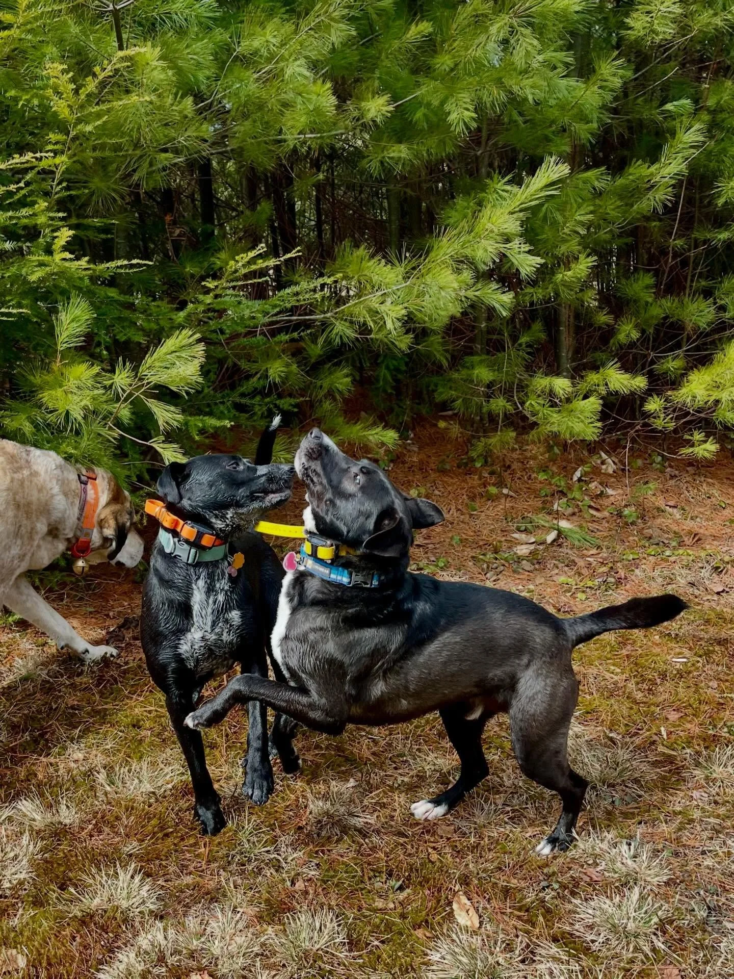 Monday runday 🏃🏃🏃