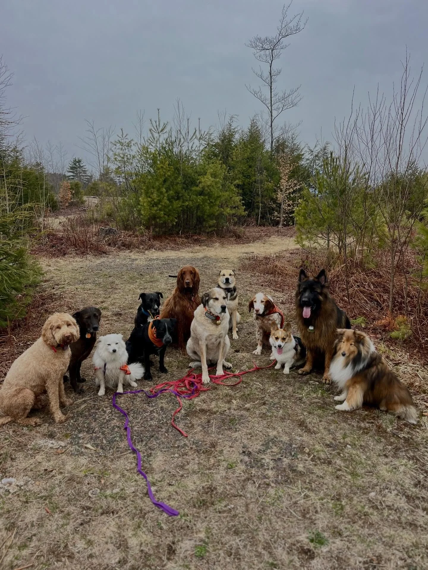 Manic Monday 🤪 some of us have spring fever