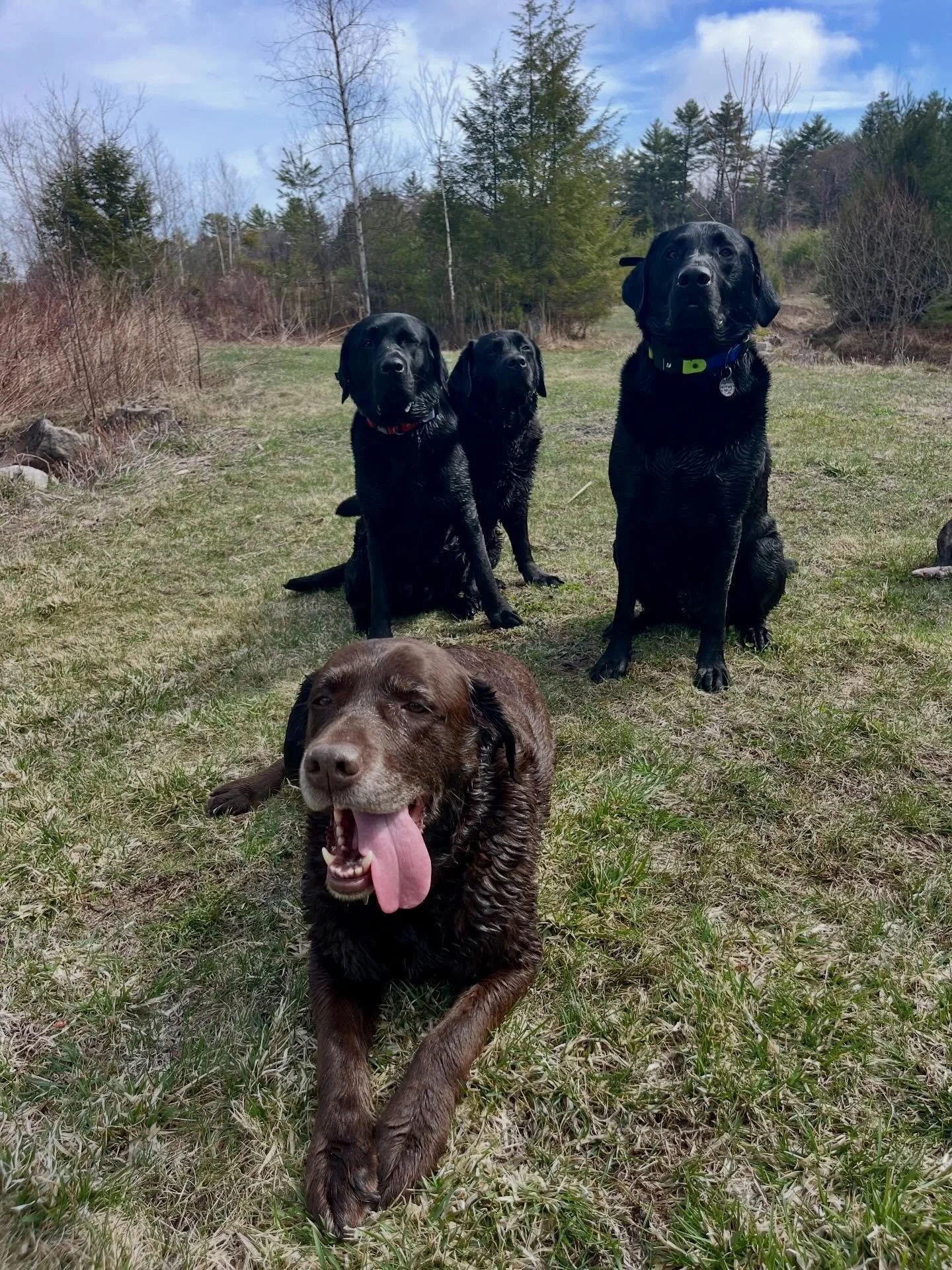 It was a good day to be a camp dog 😊 especially if you love to swim