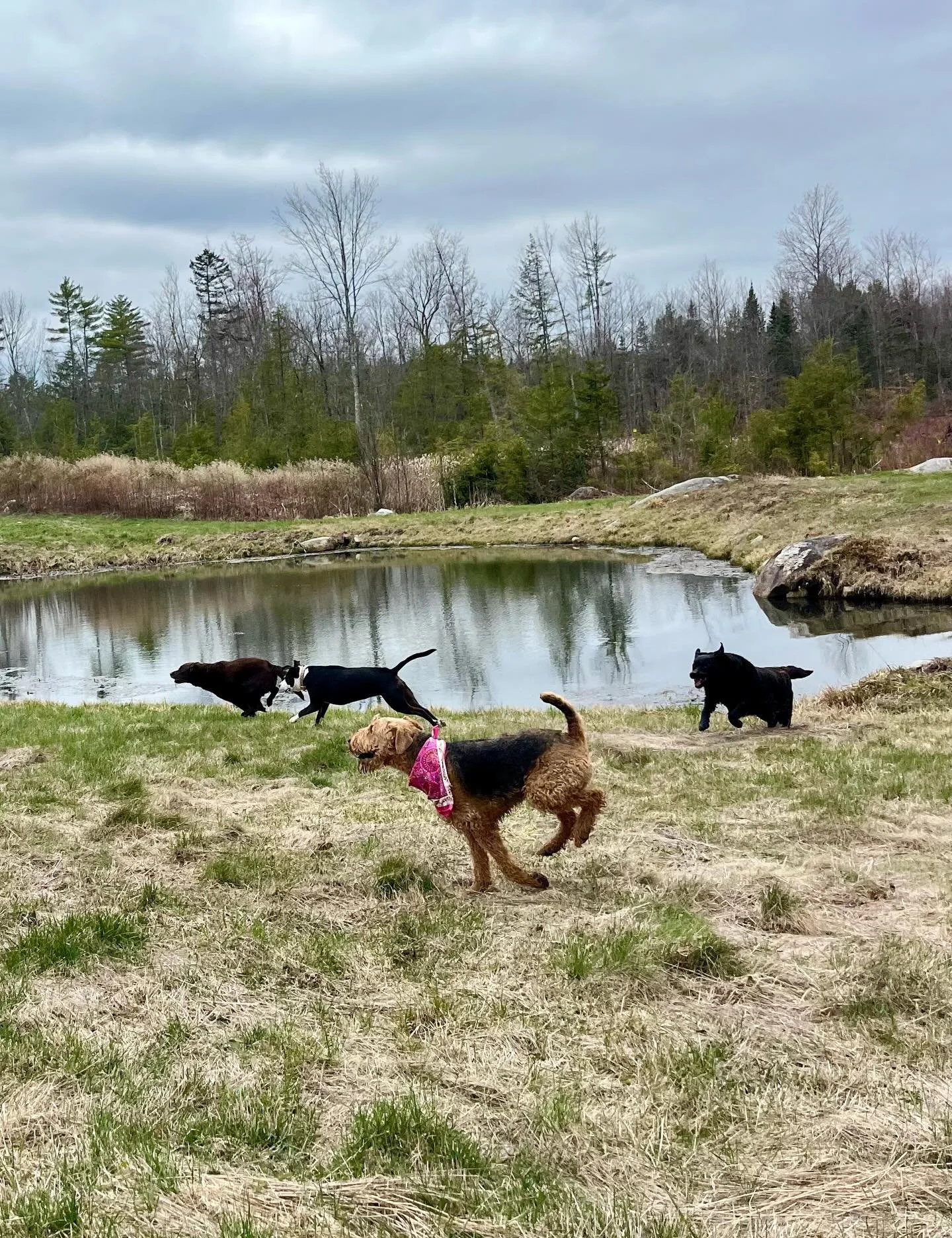 Happy Earth Day 🌎 🌱🌳 from this beautiful spot on Earth