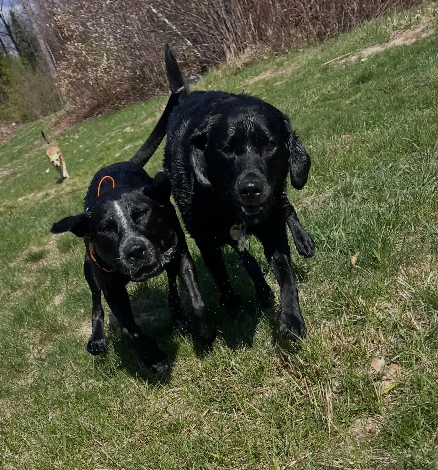 Another day at the office&hellip;