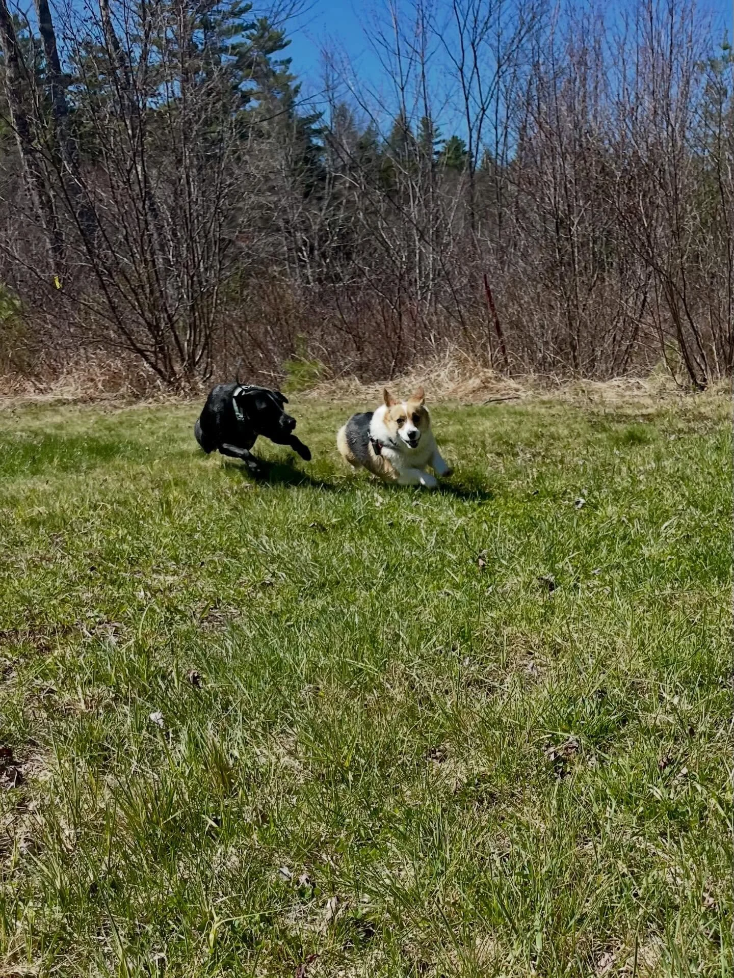 Monday fun!