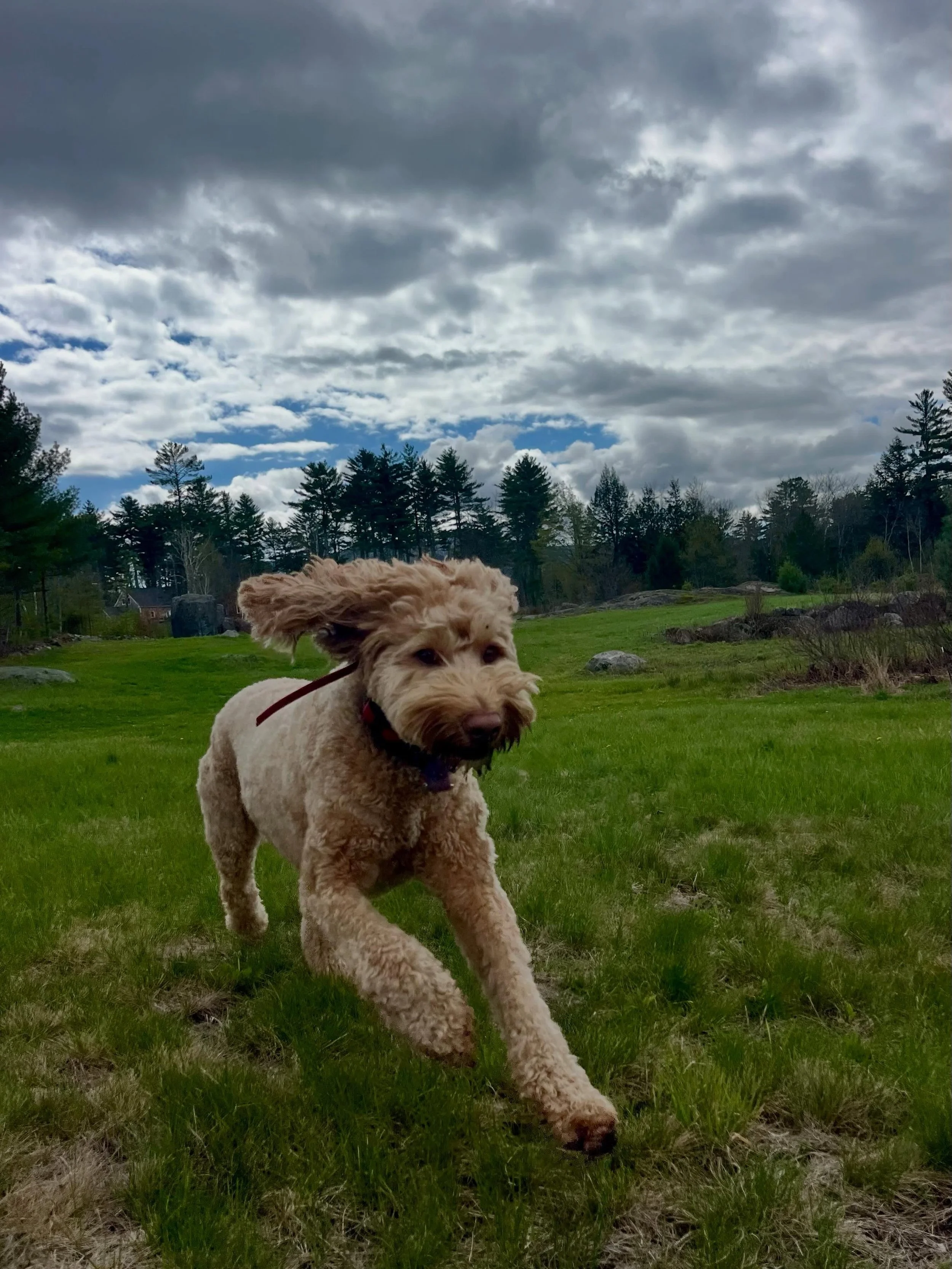 Happy happy Thursday!