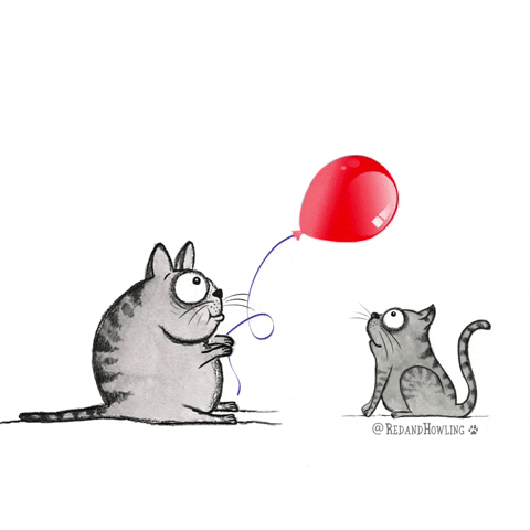 What The Vaccine News Actually Means Tamarin What The Vaccine News Actually Means Tamarin