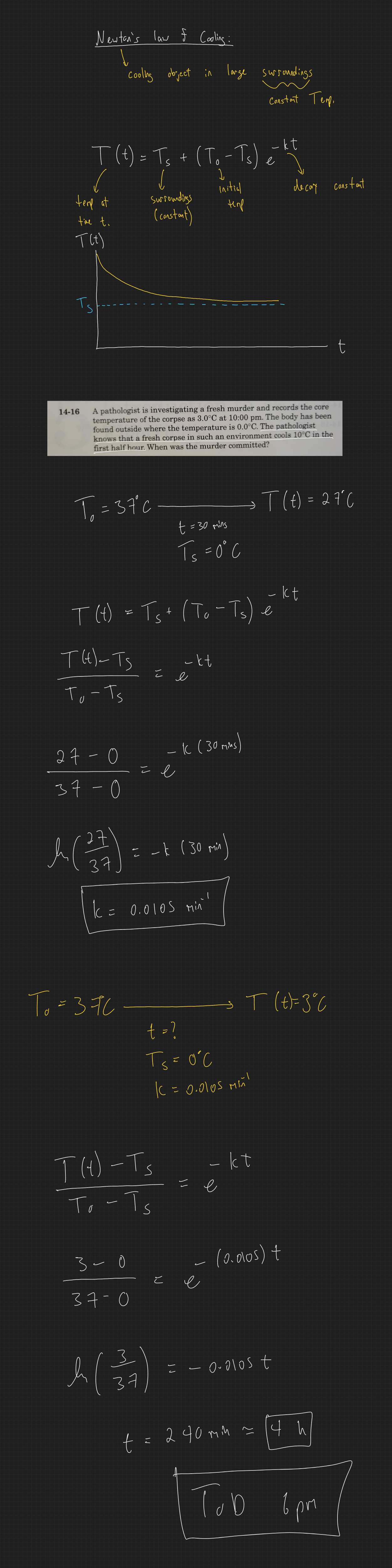 null - 2025-04-03T165842.450.png