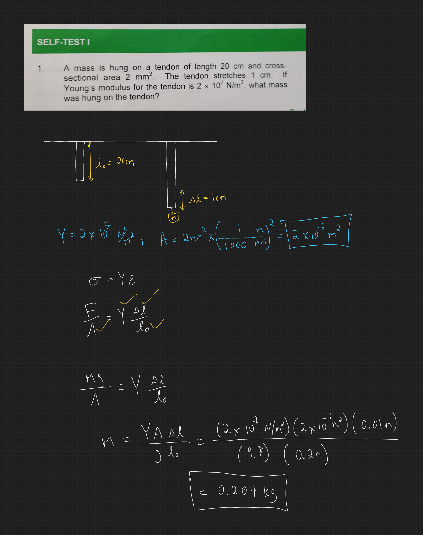 null - 2025-02-11T170315.662.png