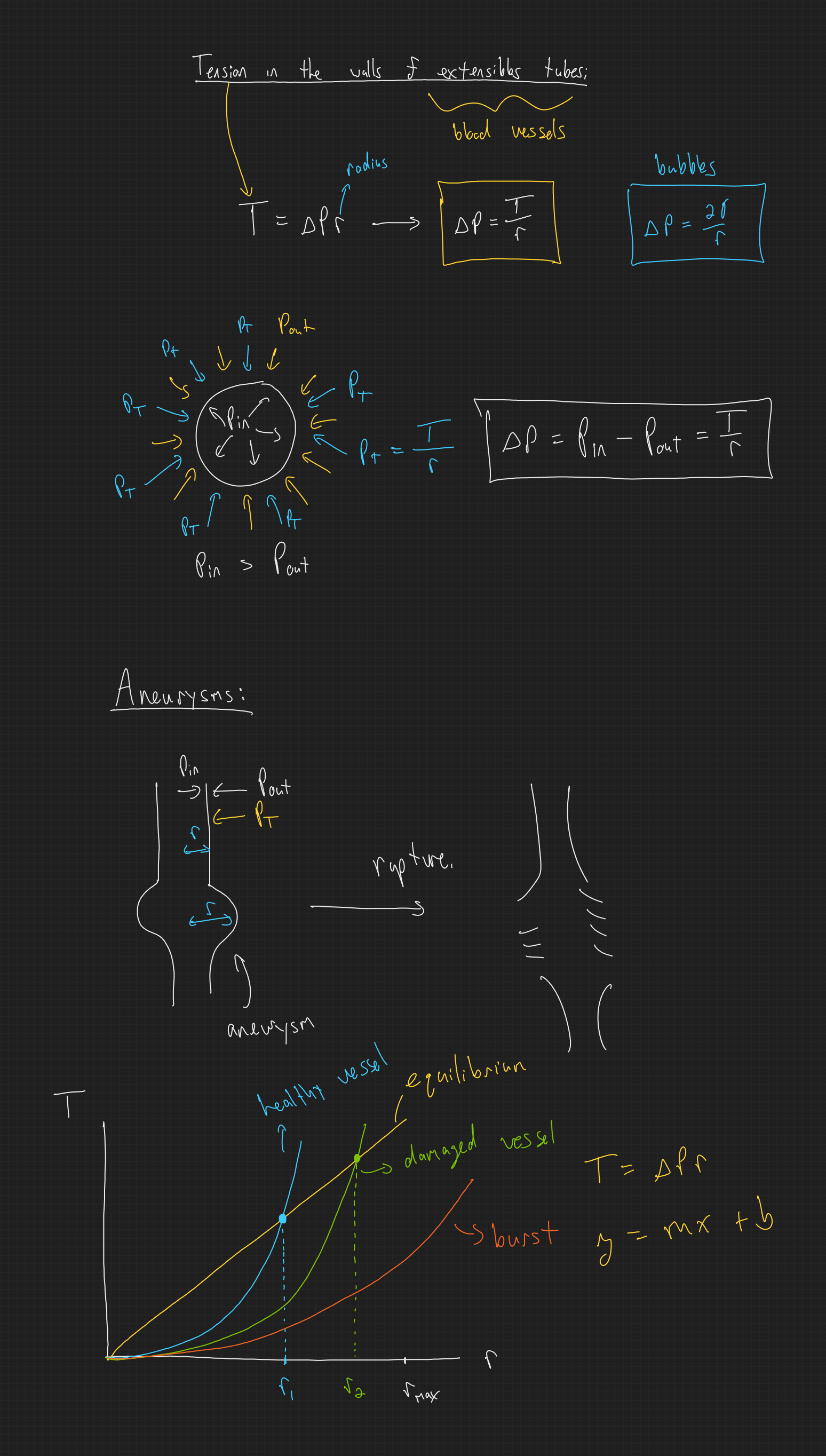 null - 2025-03-13T165146.106.png