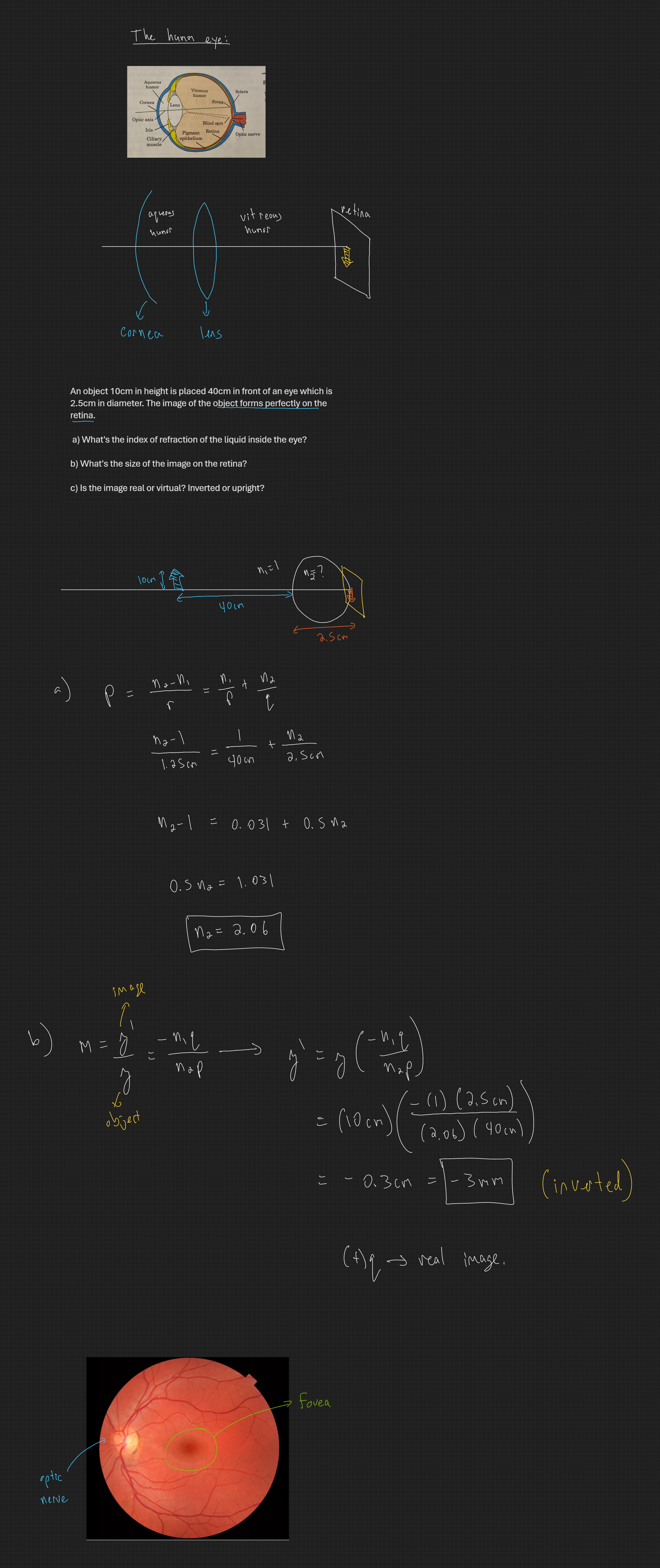 null - 2025-01-30T121613.158.png