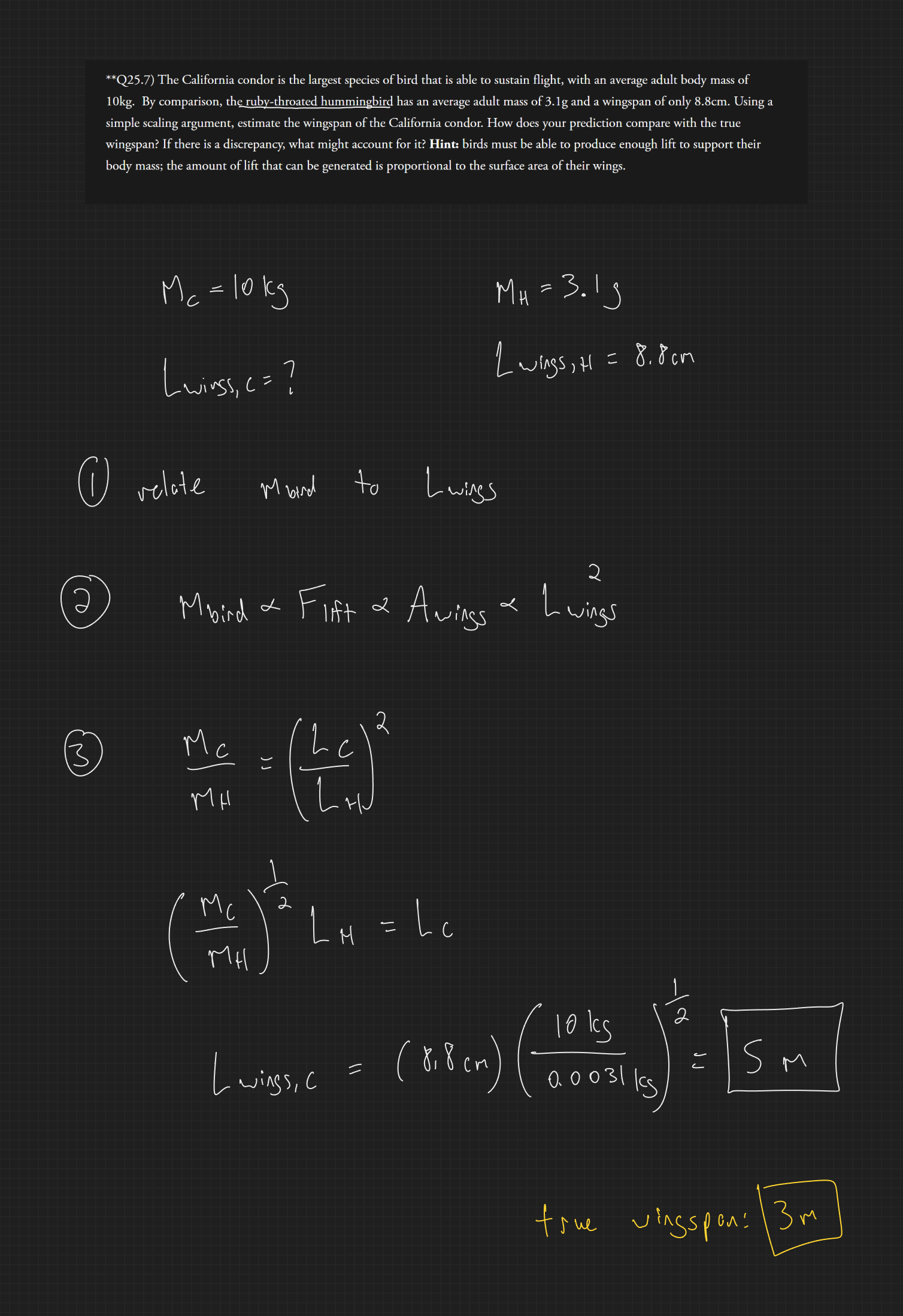 null - 2025-02-13T171619.741.png