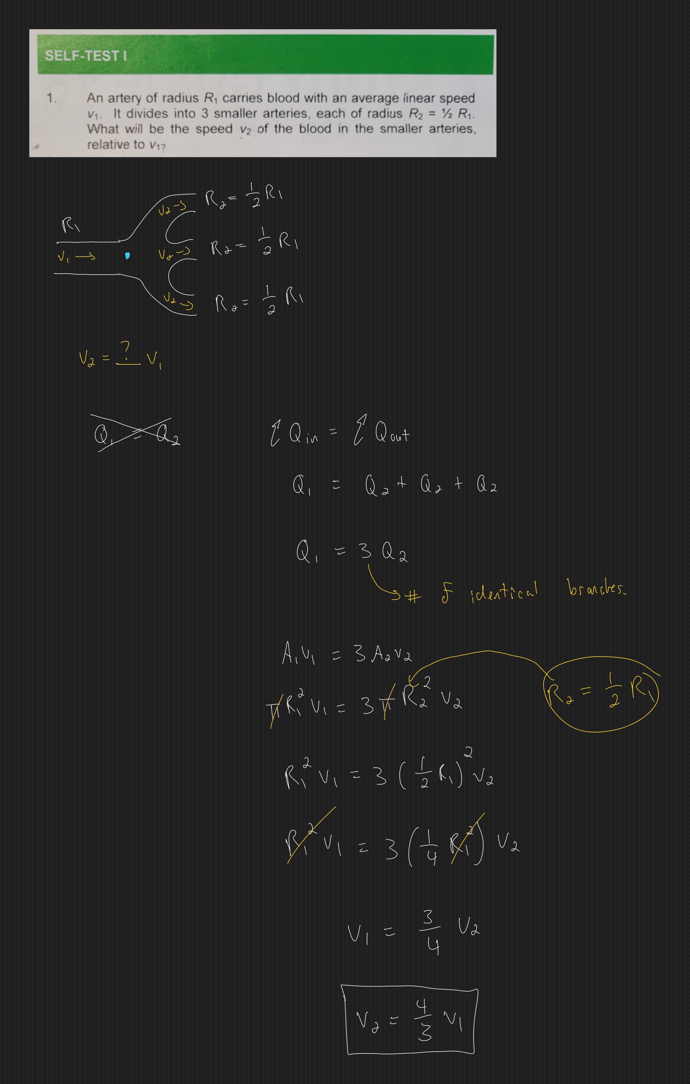 null - 2025-03-04T170722.355.png