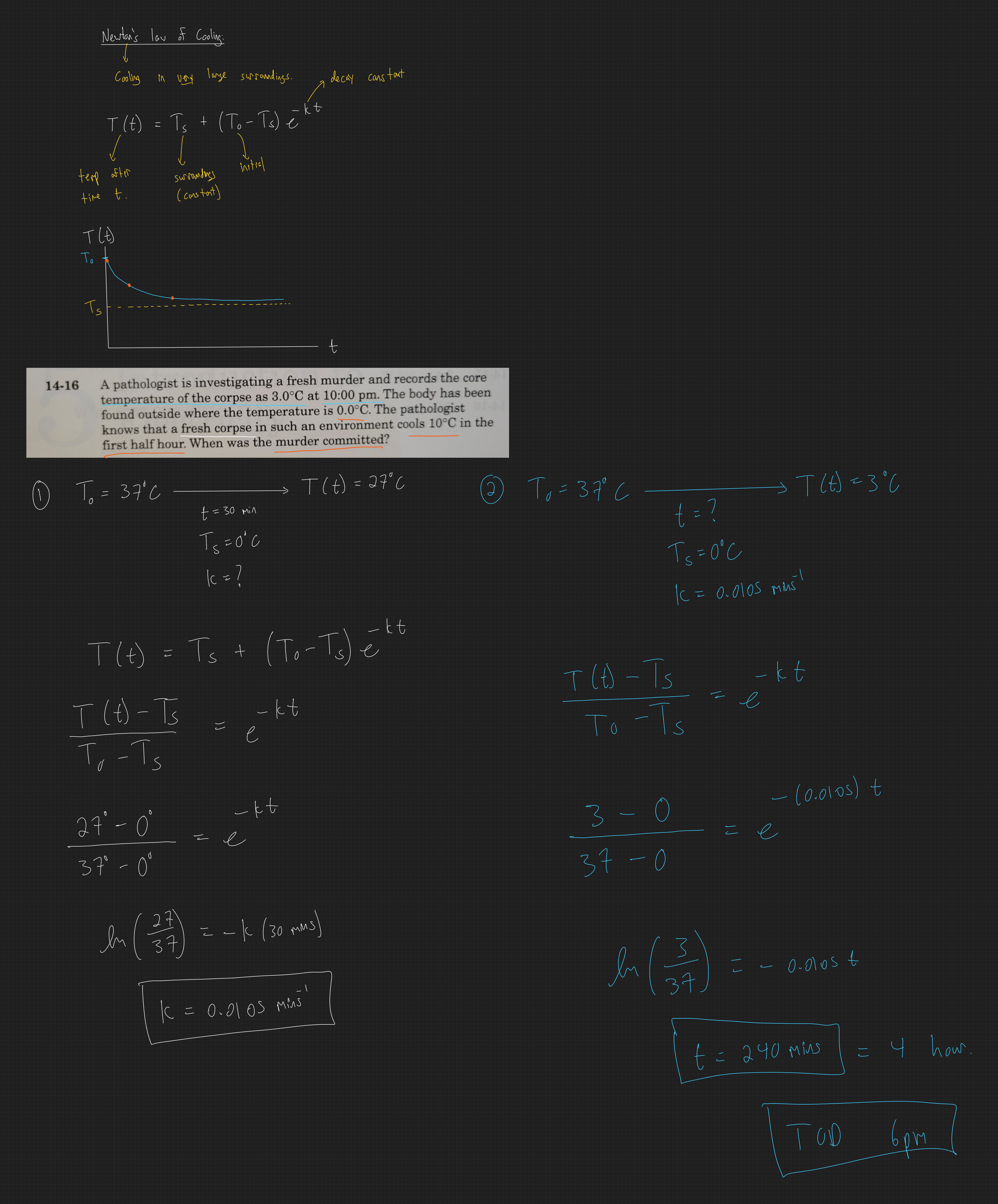 null - 2025-11-27T144353.631.png