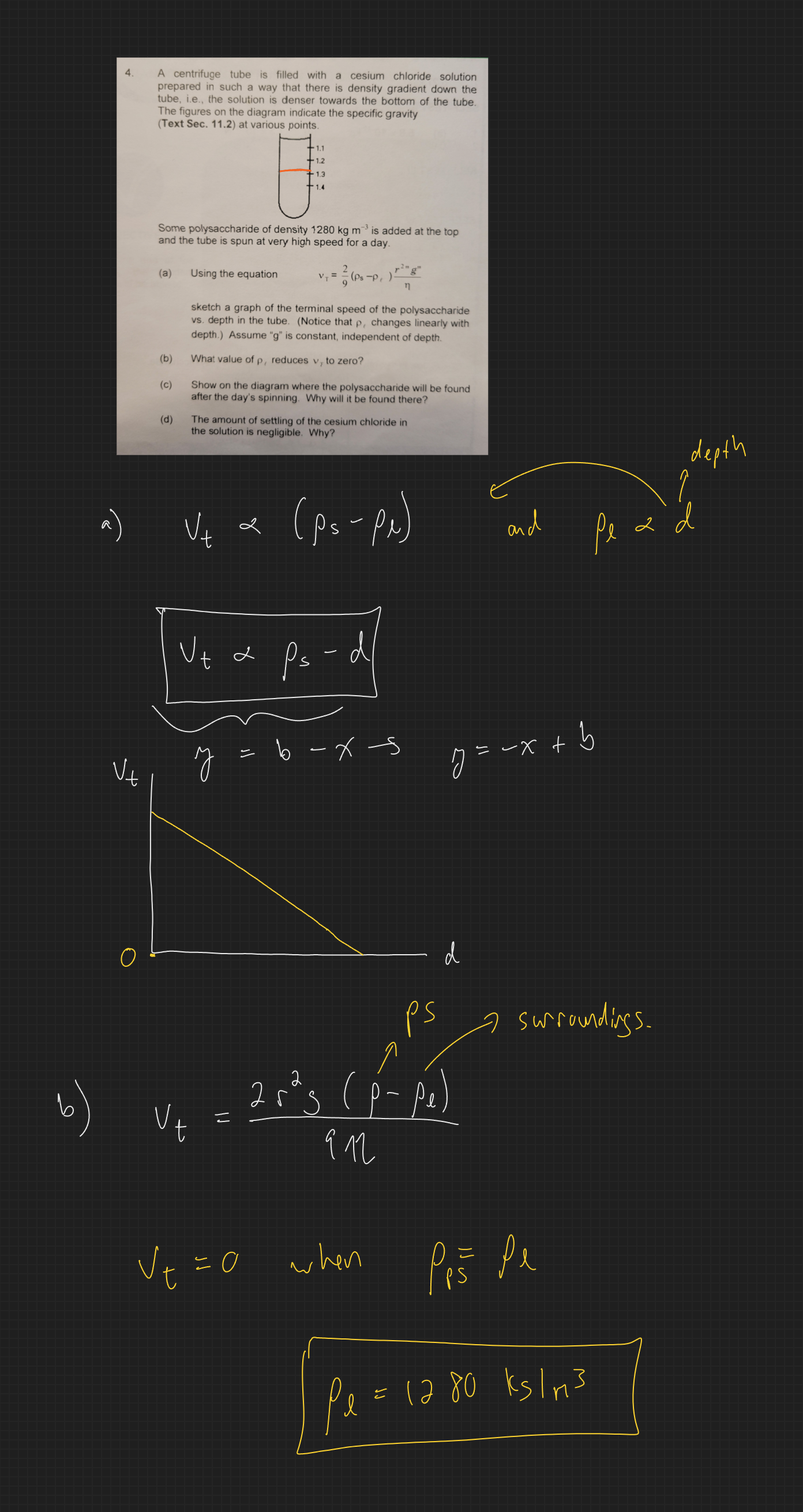 null - 2025-03-20T171130.340.png