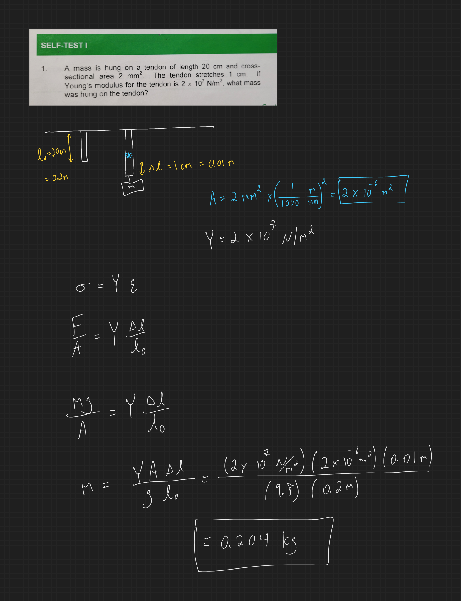 null - 2025-10-14T150225.708.png