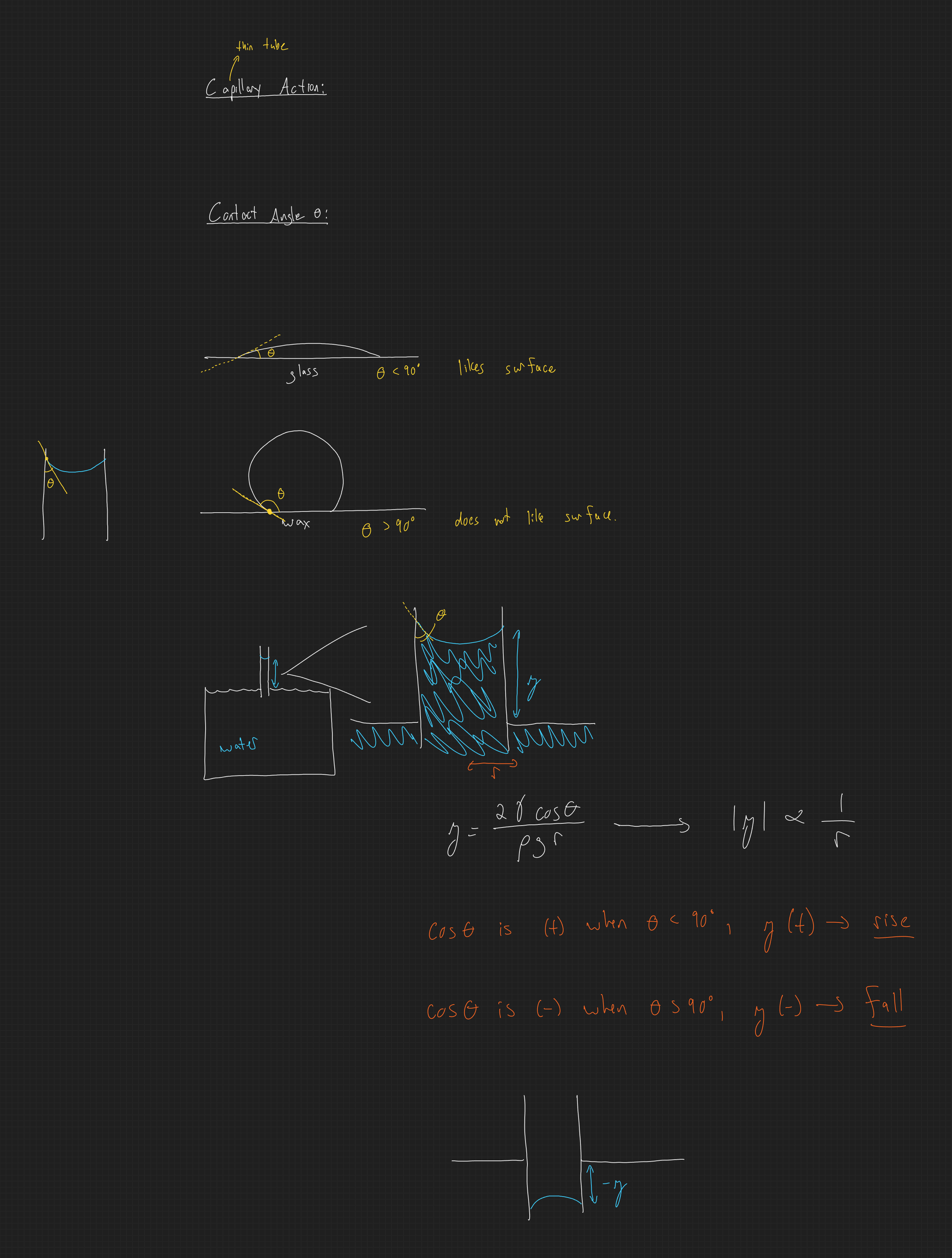 null - 2025-02-27T172002.263.png