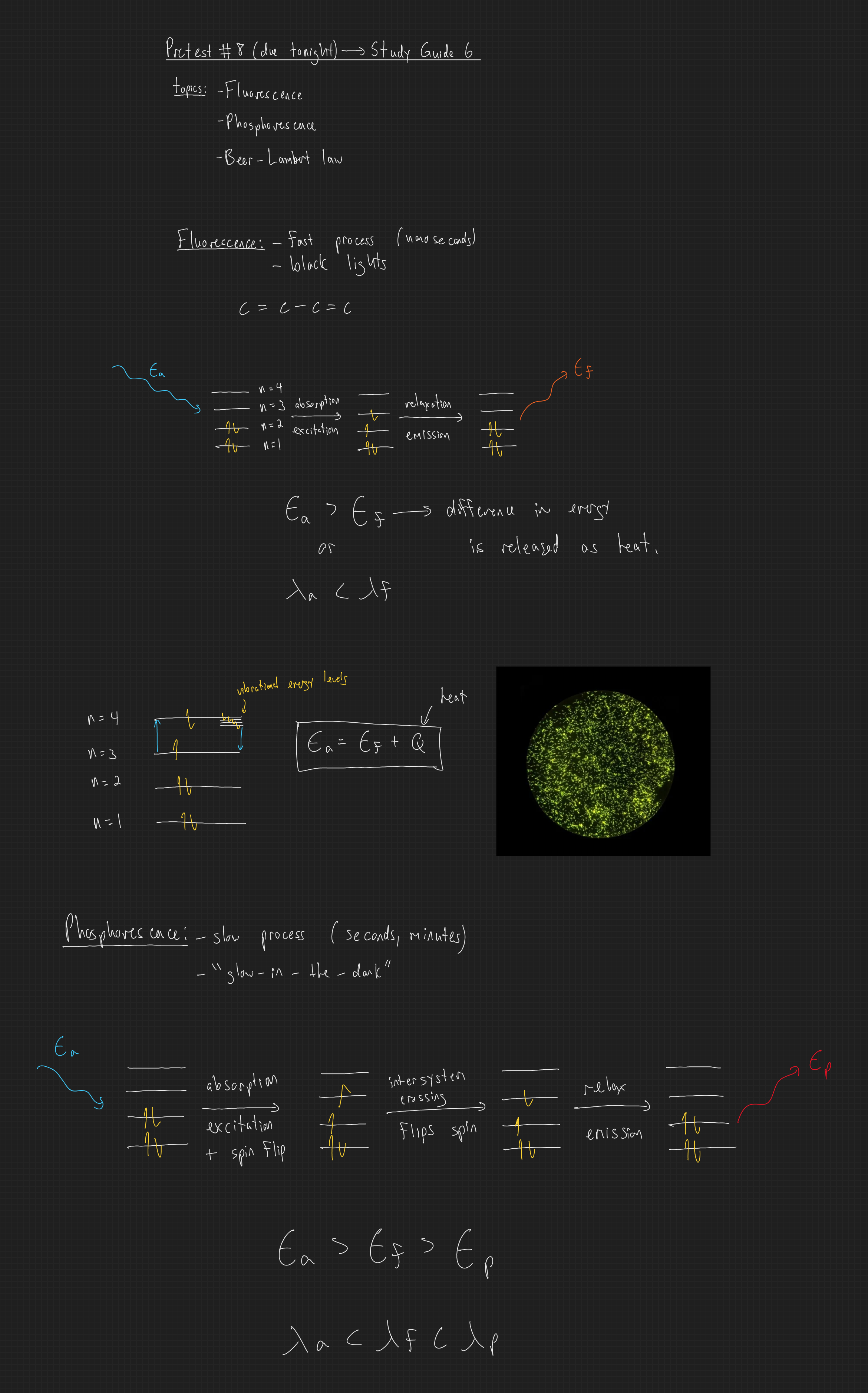 null - 2025-03-11T114647.615.png