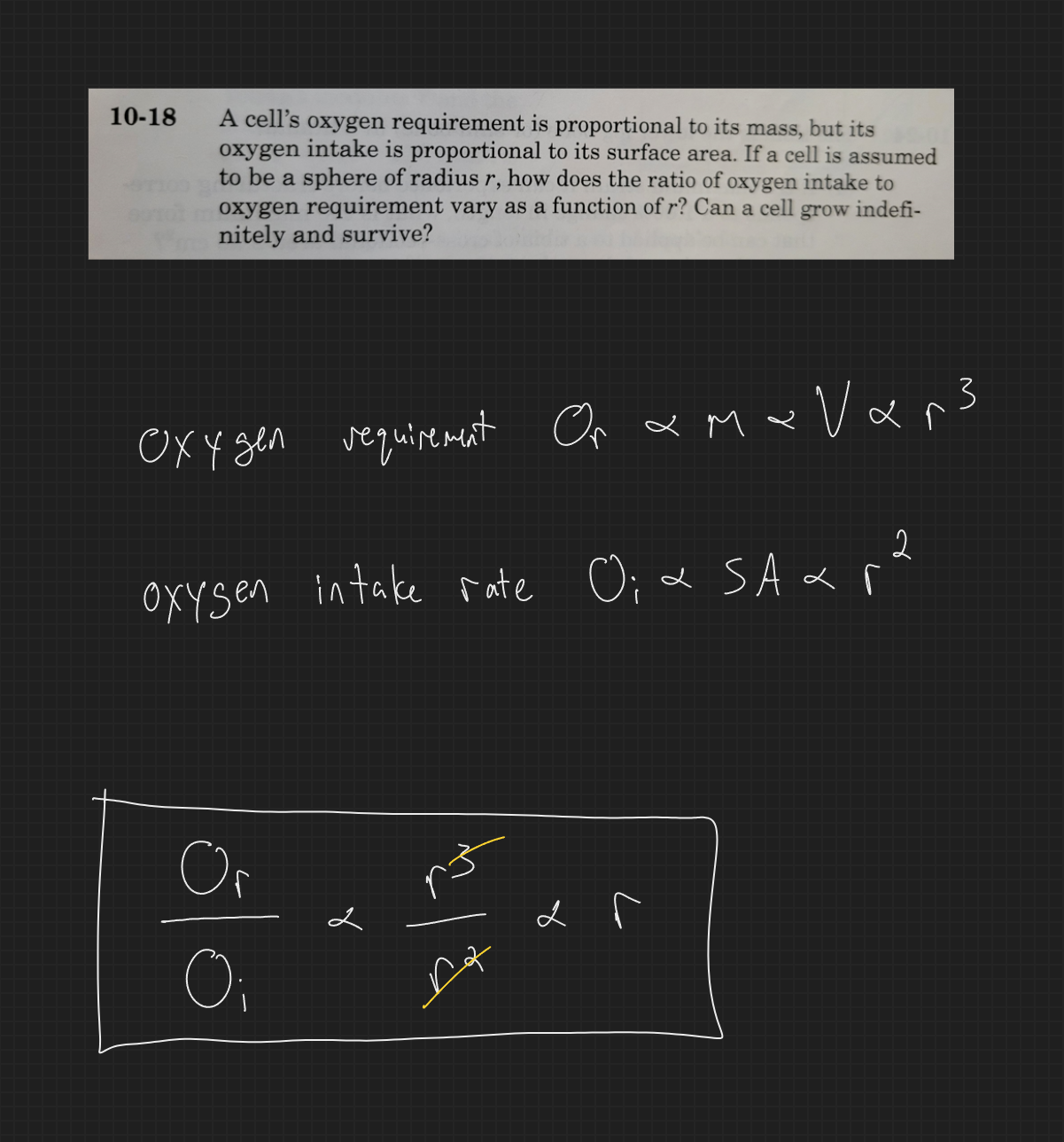 null - 2025-02-13T172523.404.png