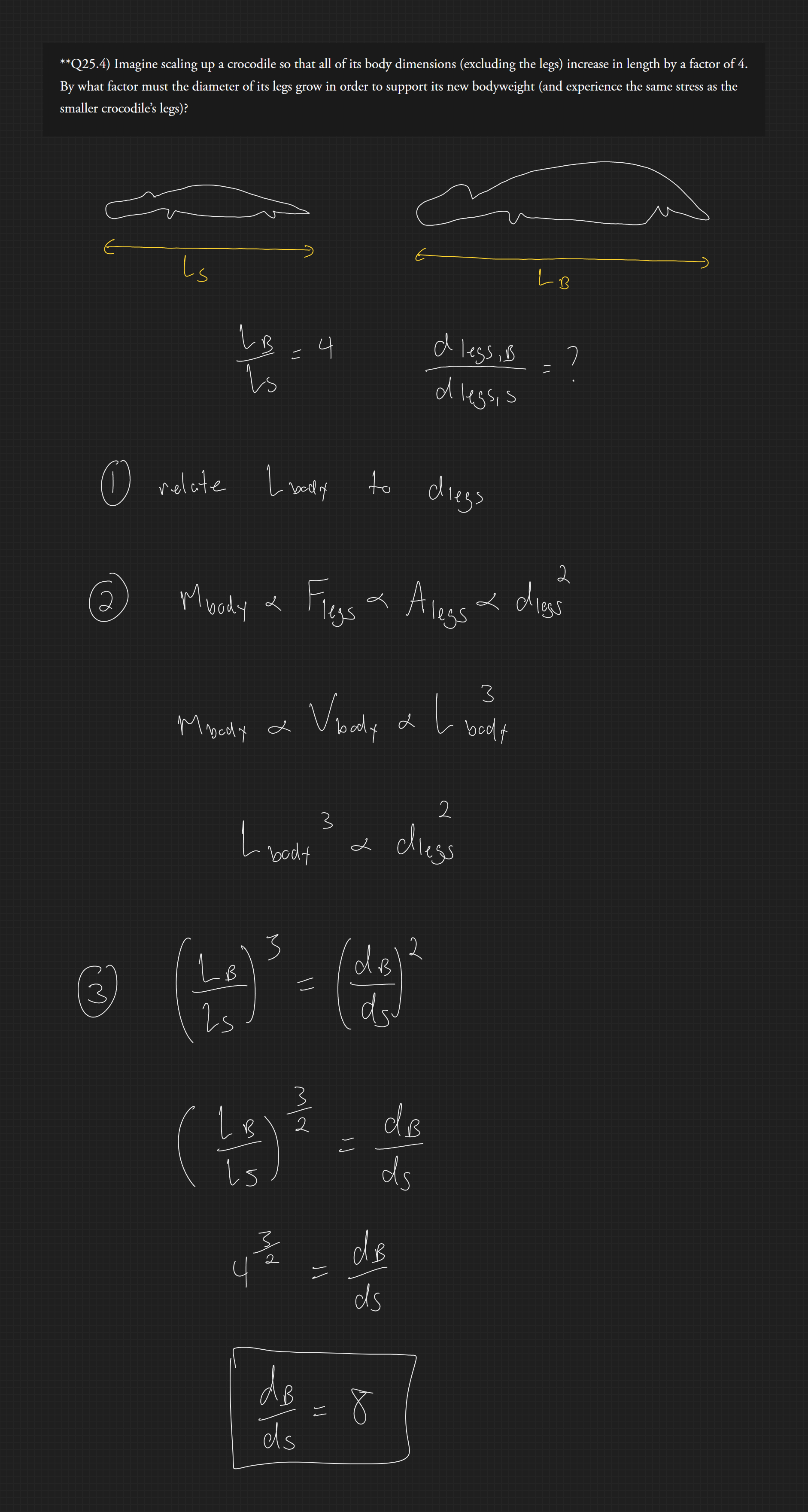 null - 2025-02-13T170956.764.png