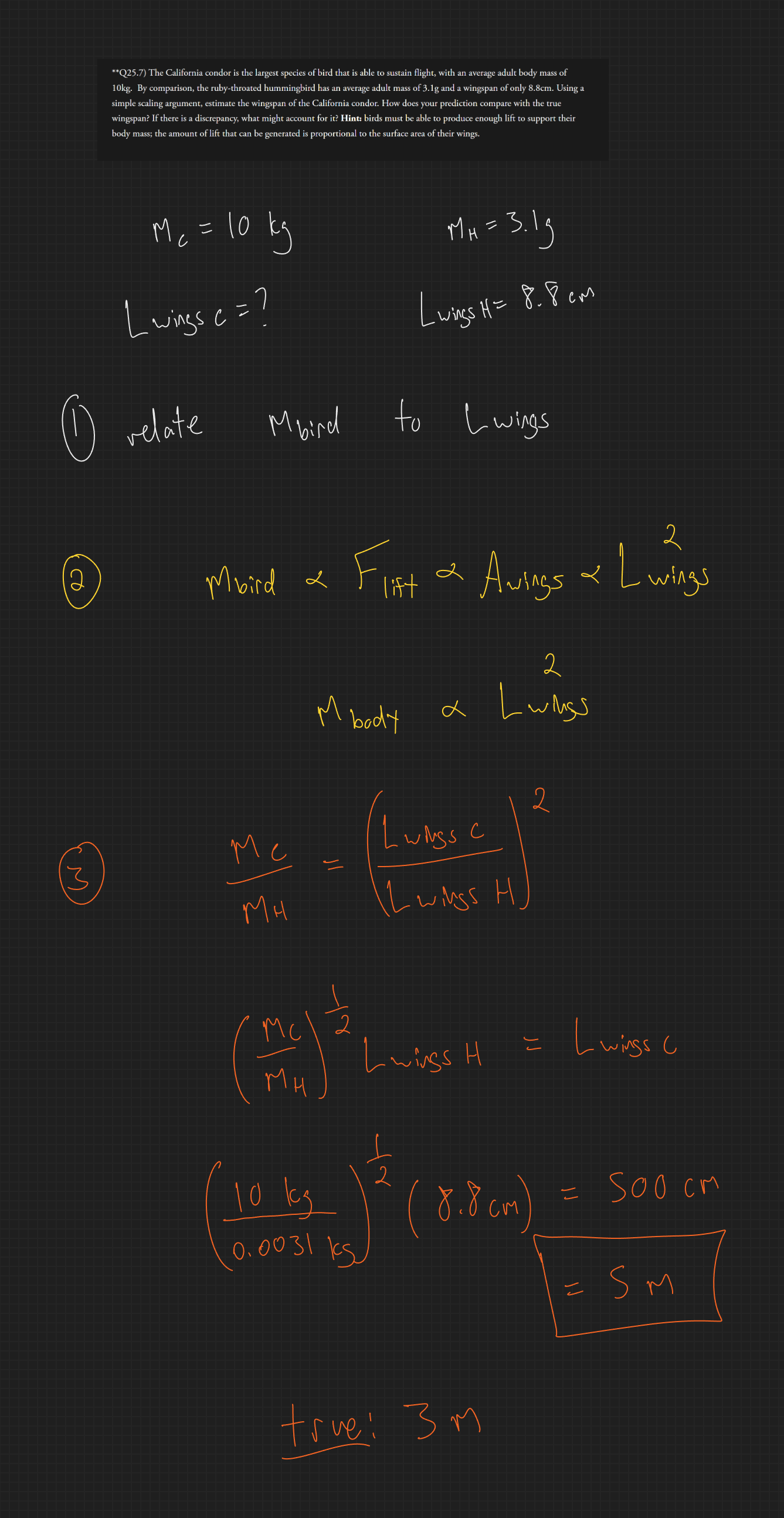 null - 2025-10-16T151401.610.png