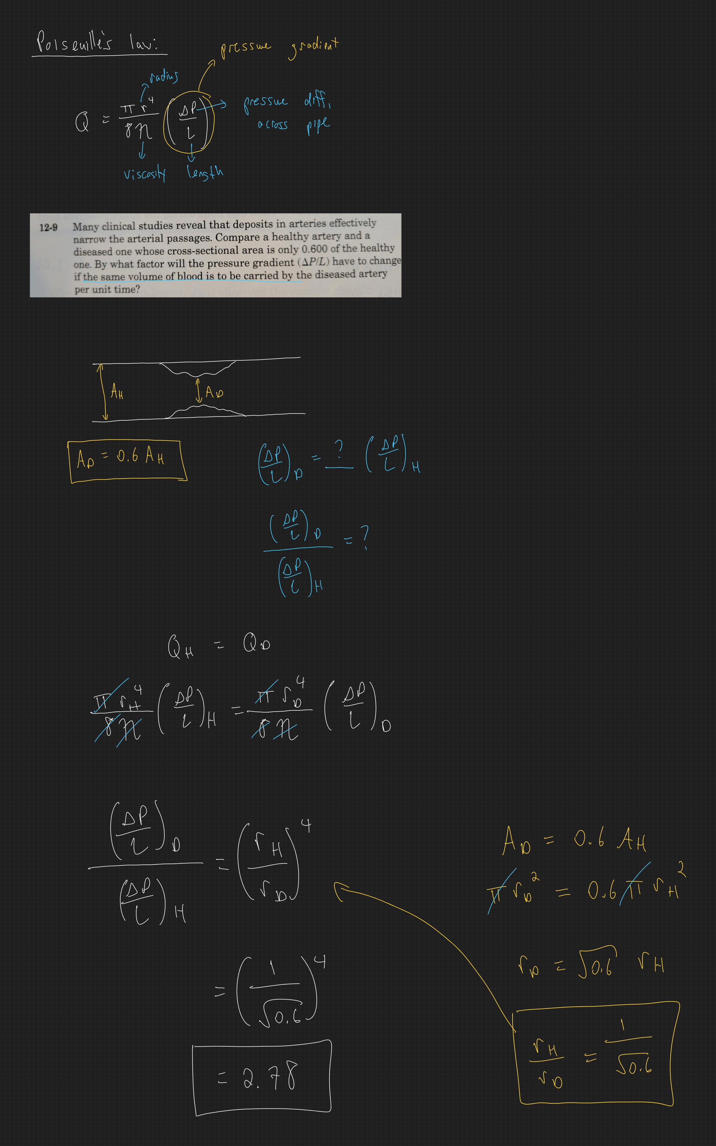 null - 2025-03-06T165012.776.png