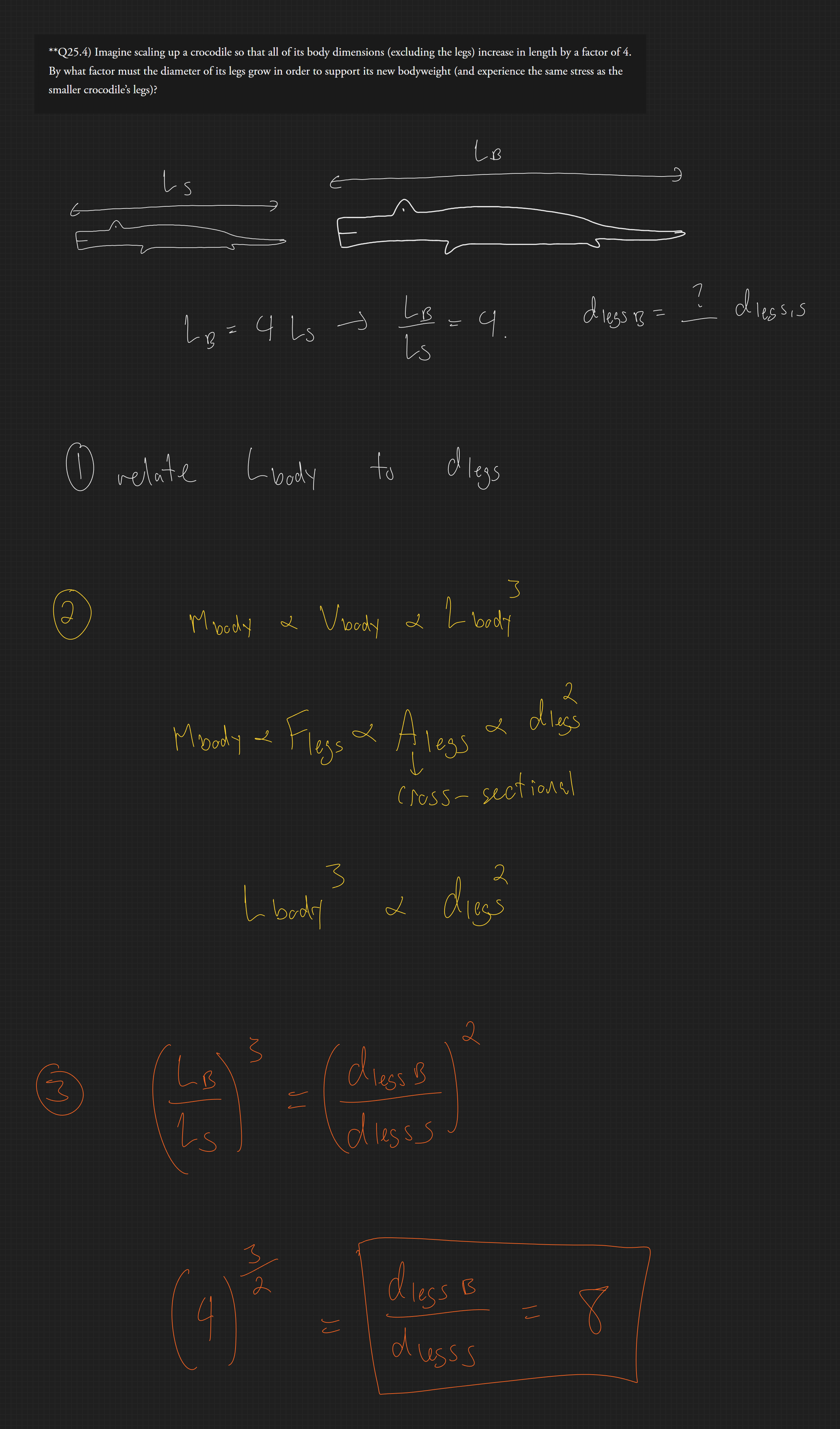 null - 2025-10-16T150818.477.png