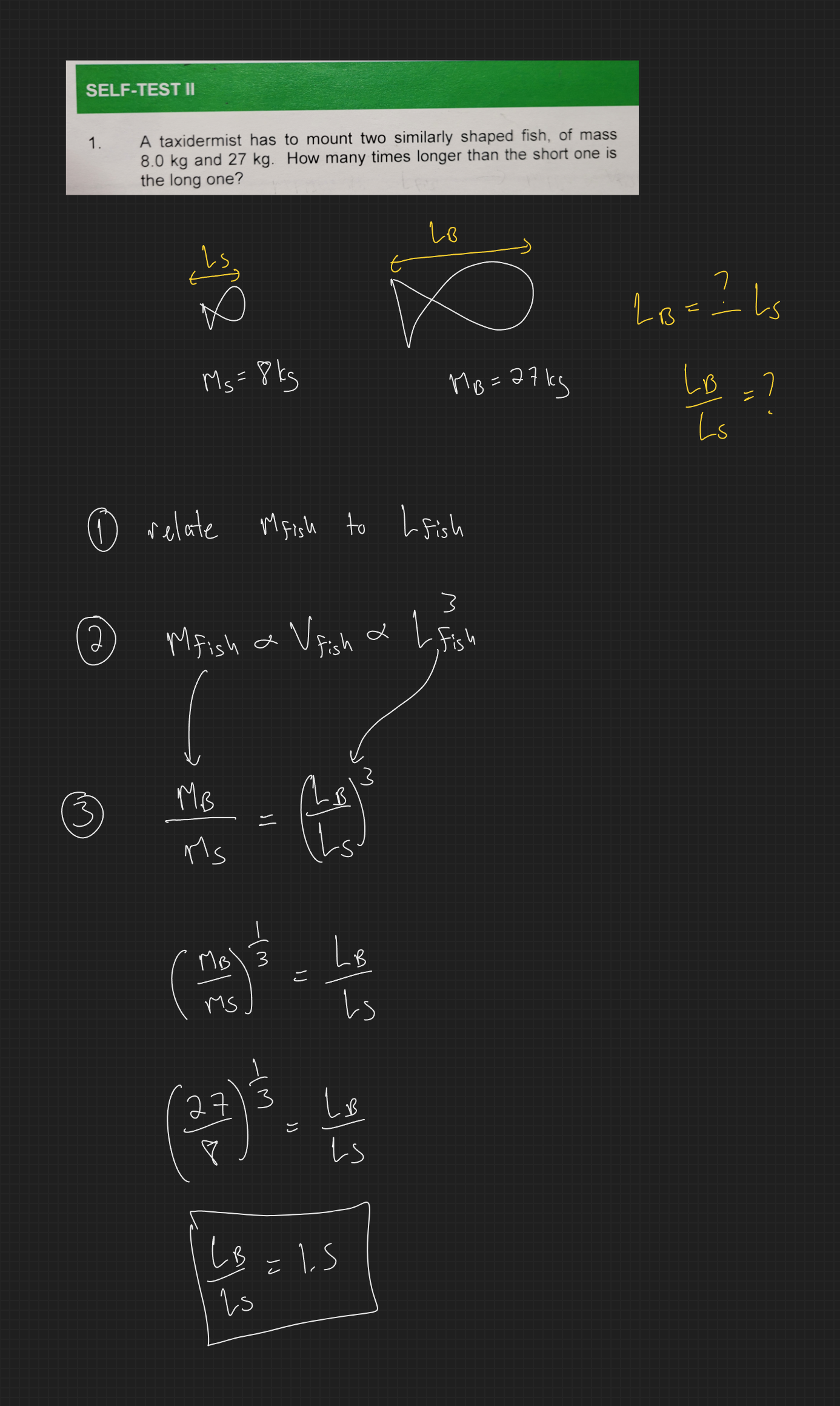 null - 2025-02-13T164359.830.png