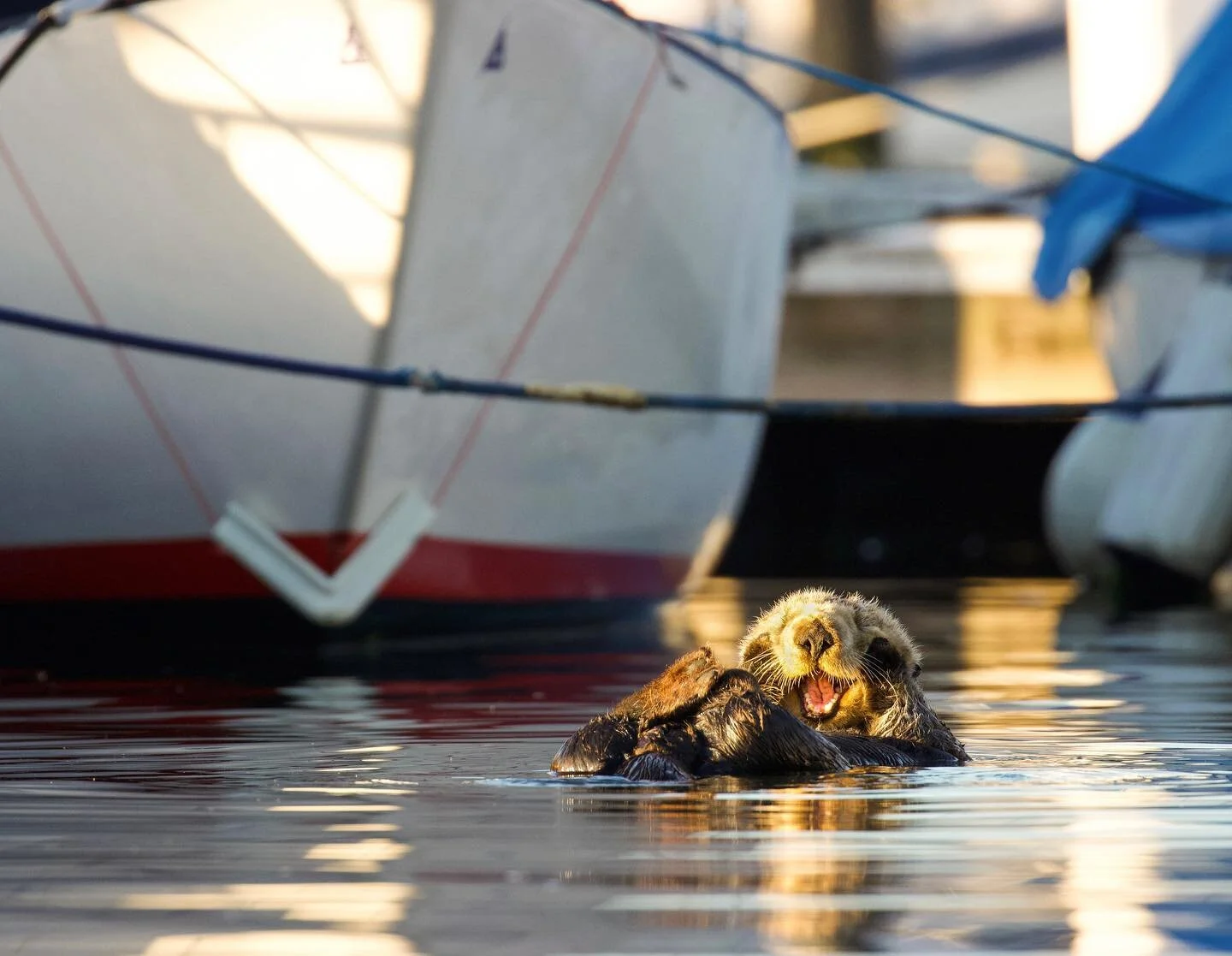 My store is live on @etsy! I am so excited to be selling canvases of my photos! Go check it out by going to my website and selecting &ldquo;shop&rdquo;! 

See a photo on my website that you think would look great on your wall but isn&rsquo;t on the E