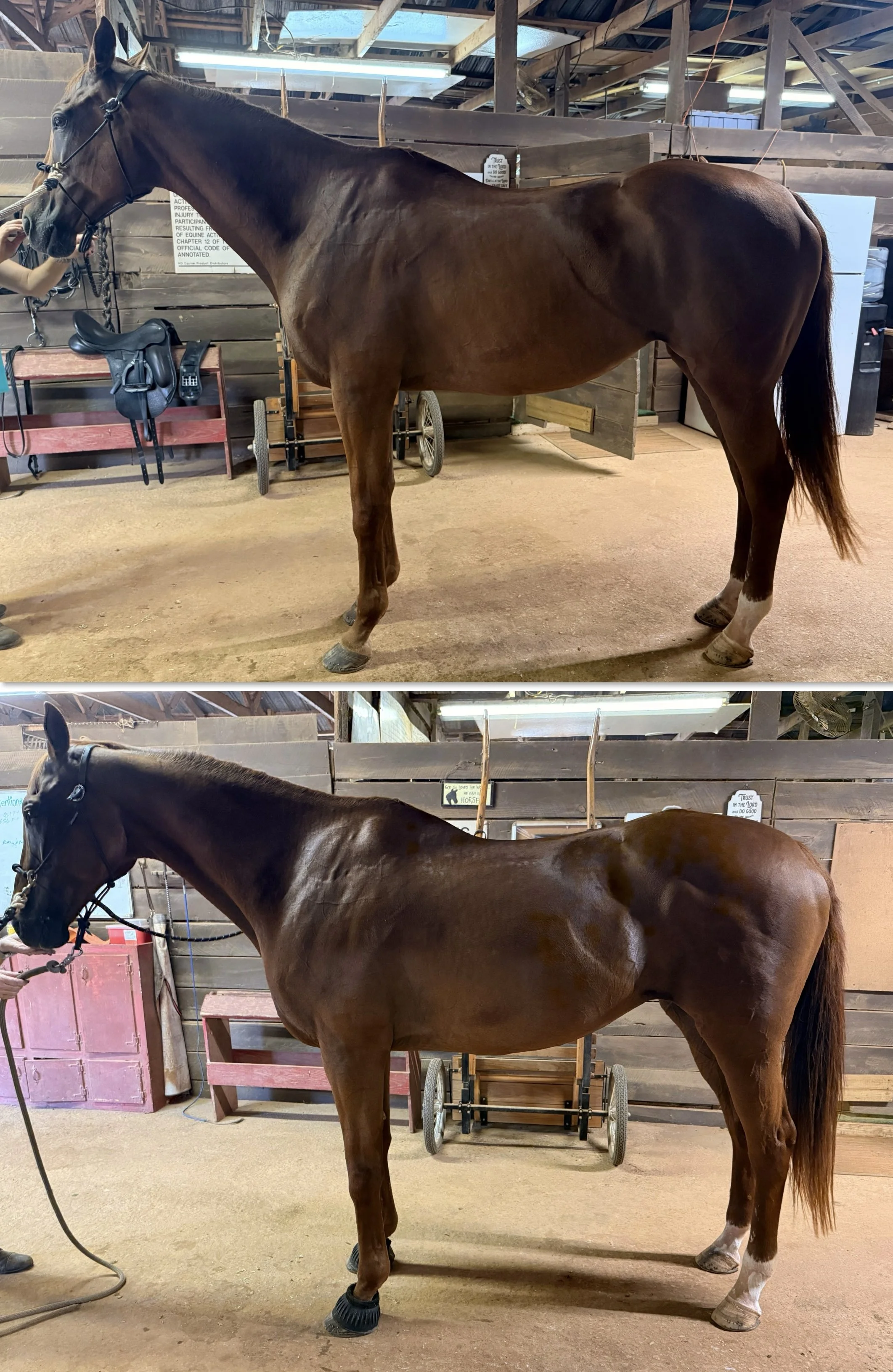 Before and Afters