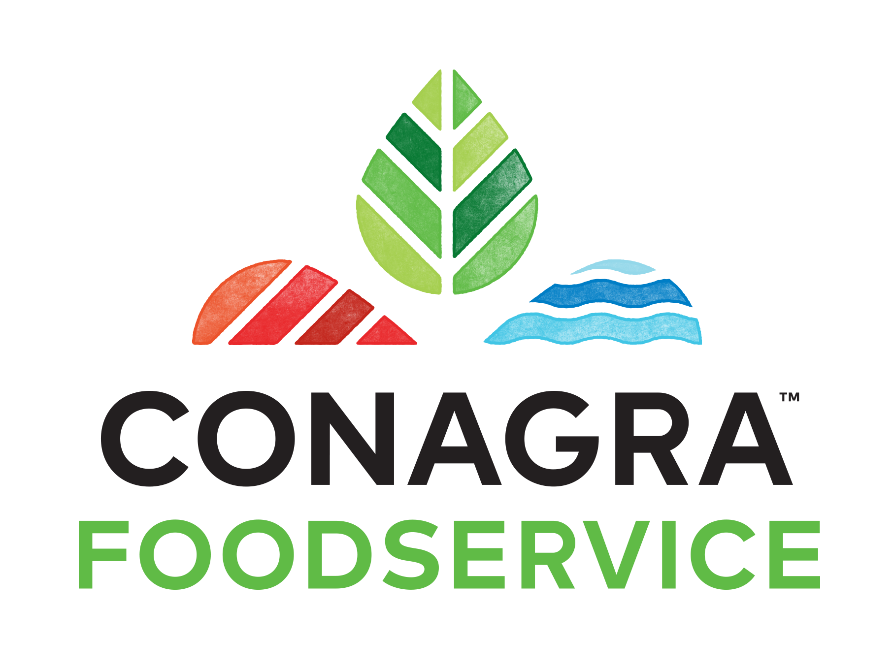 Conagra Internet 2020.png