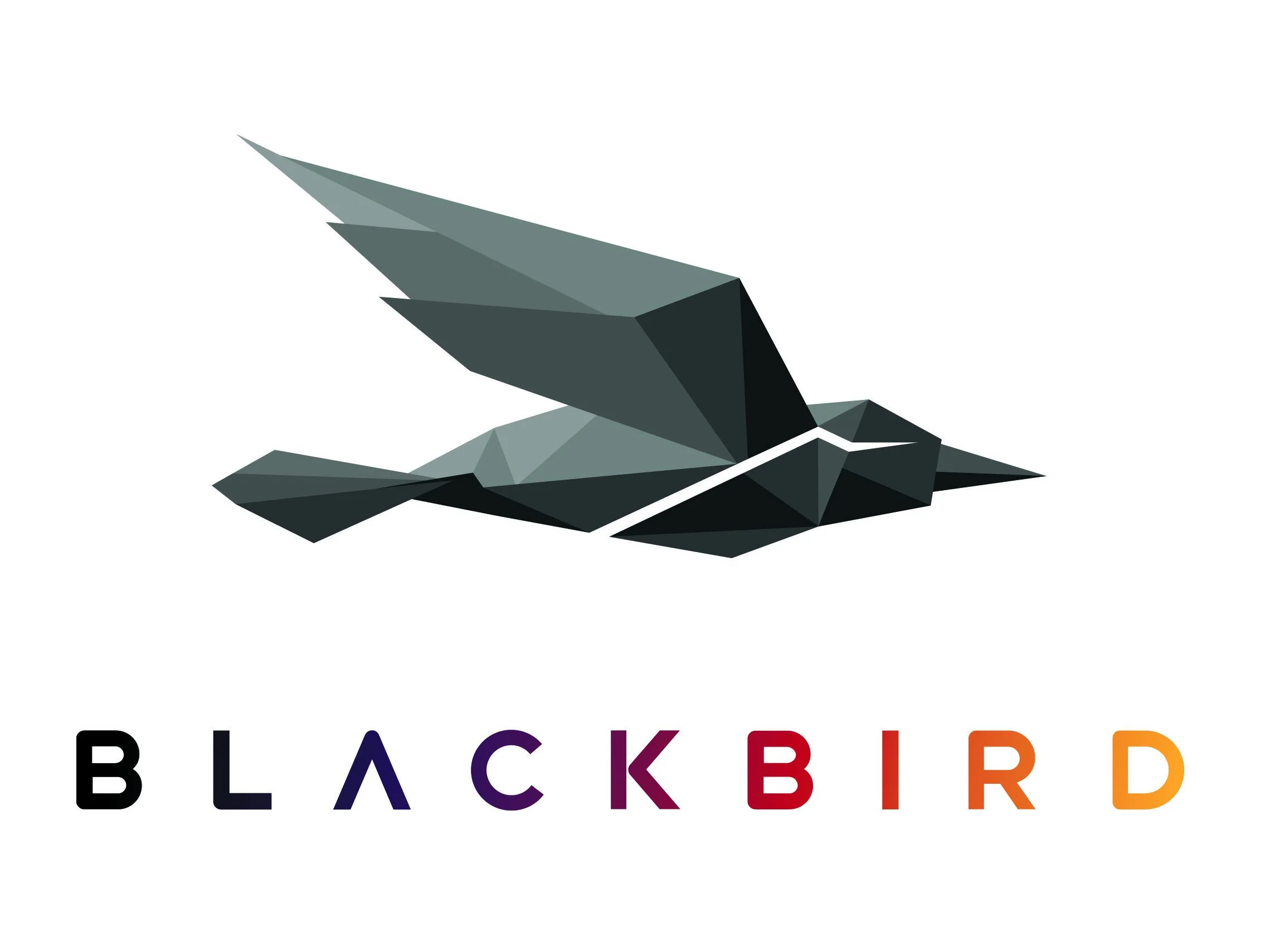 Blackbird (2020) Internet.jpg