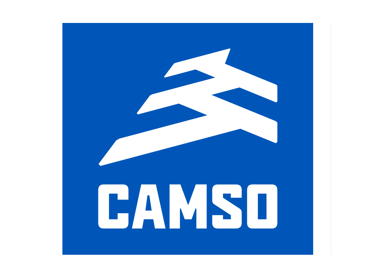 Camso Logo 2018.png