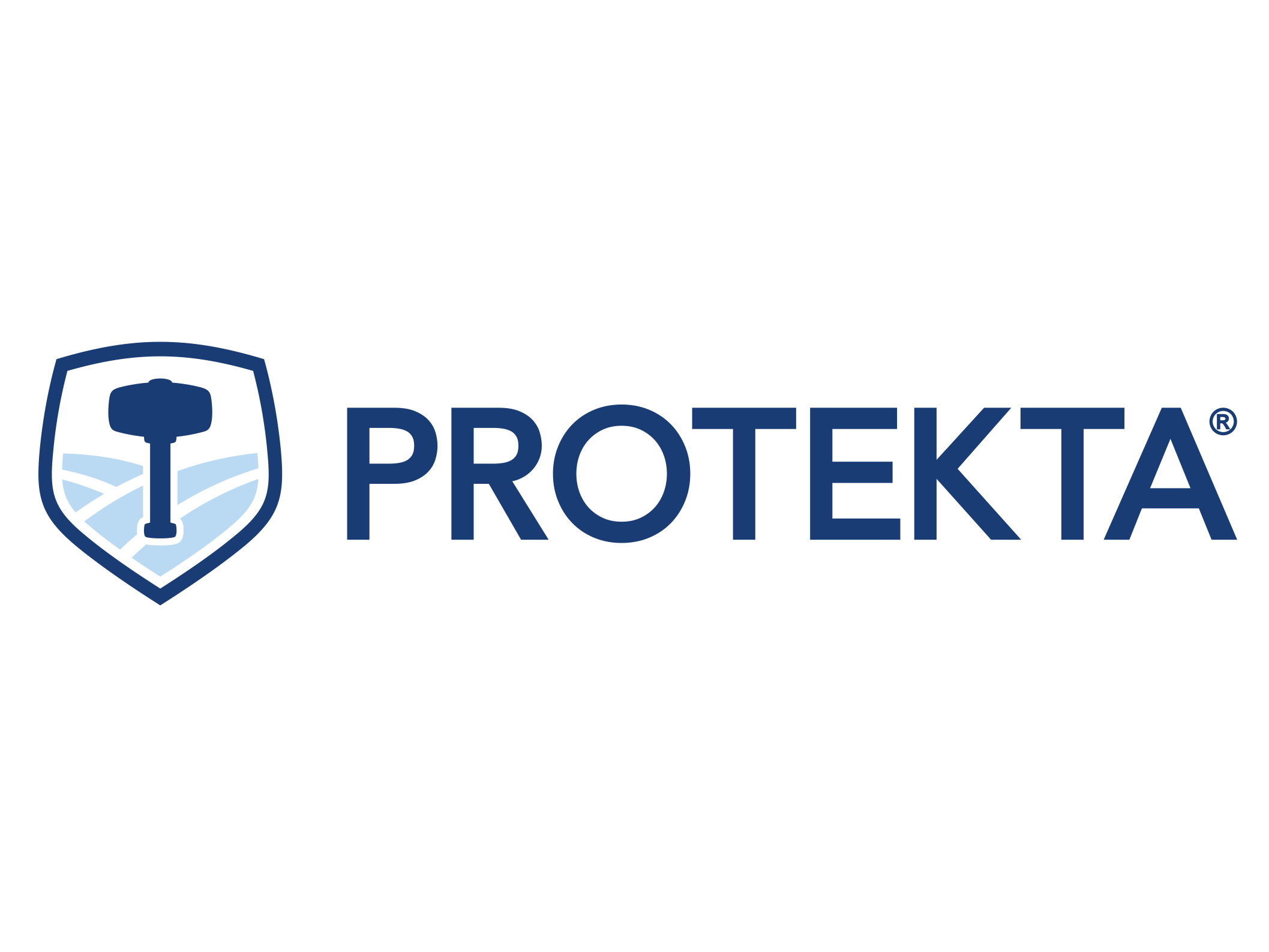 Protekta Logo.png
